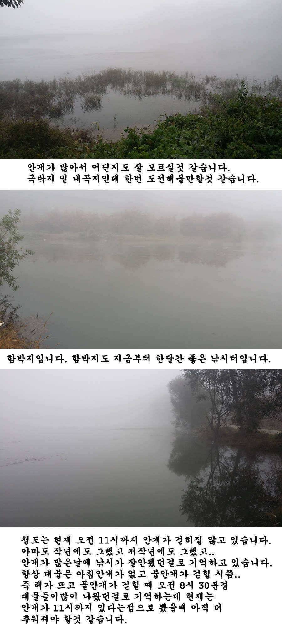 청도권 지난주 조황입니다 (조황조행기 - 특파원조황)
