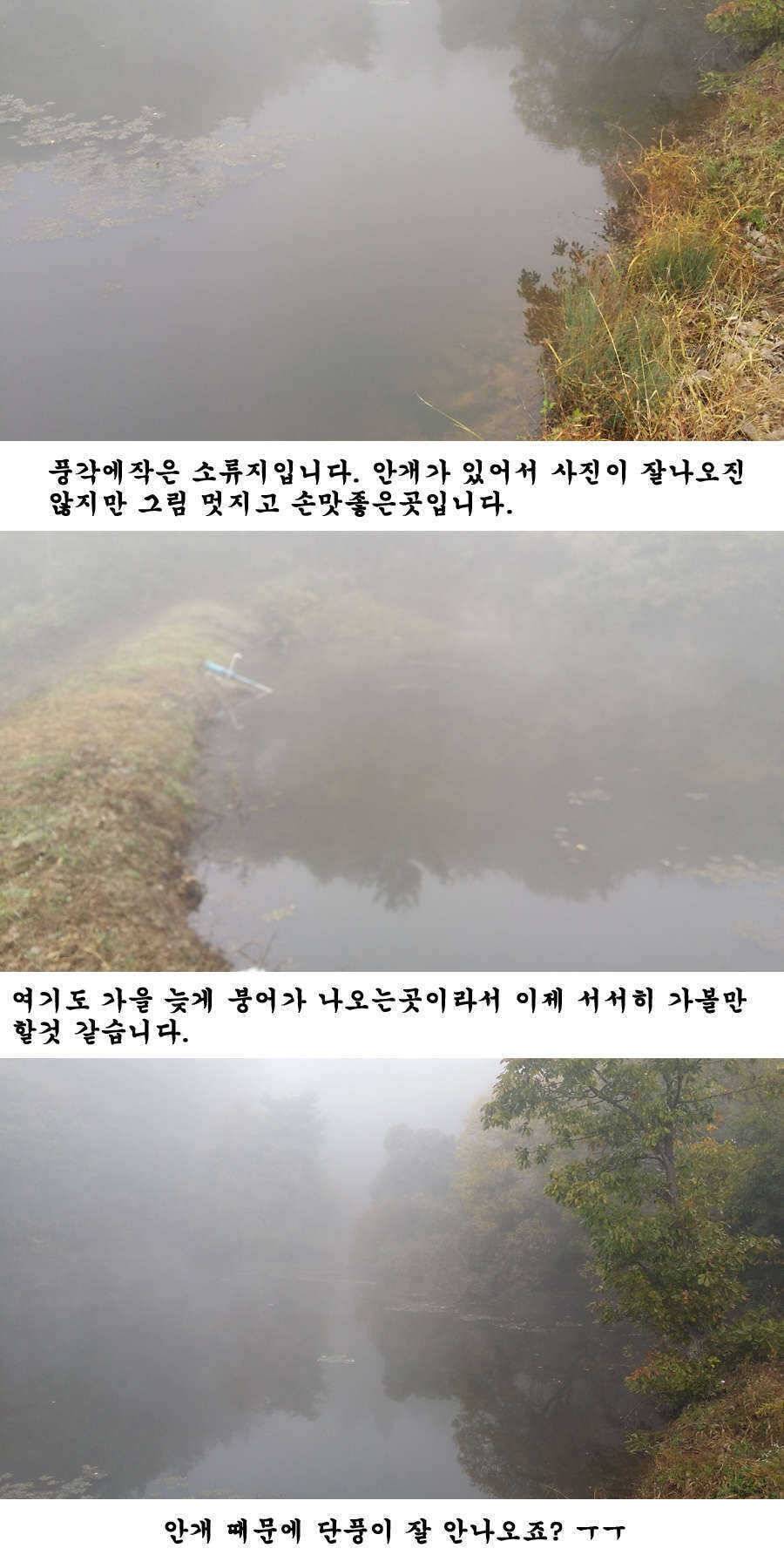 청도권 지난주 조황입니다 (조황조행기 - 특파원조황)