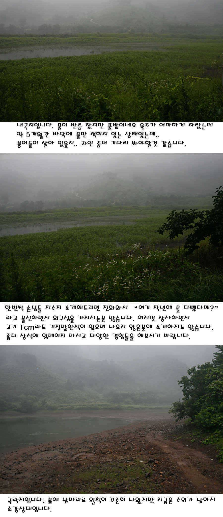 청도권 지난주 이번주 조황 (조황조행기 - 특파원조황)