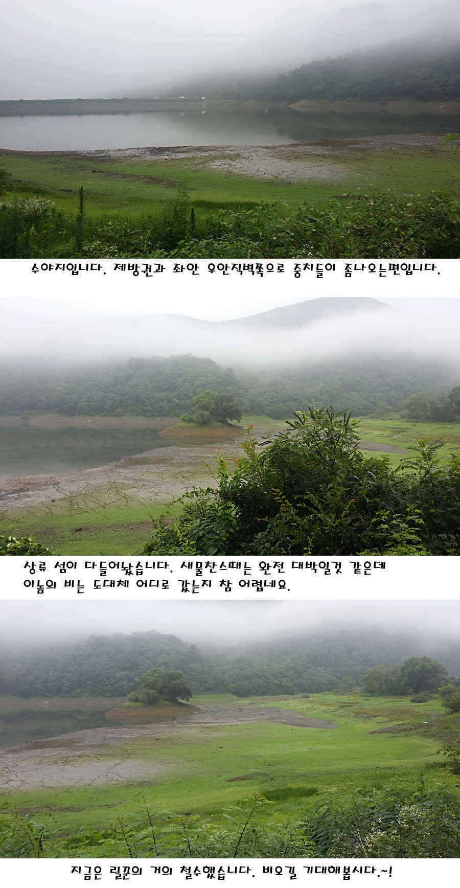 청도권 지난주 이번주 조황 (조황조행기 - 특파원조황)