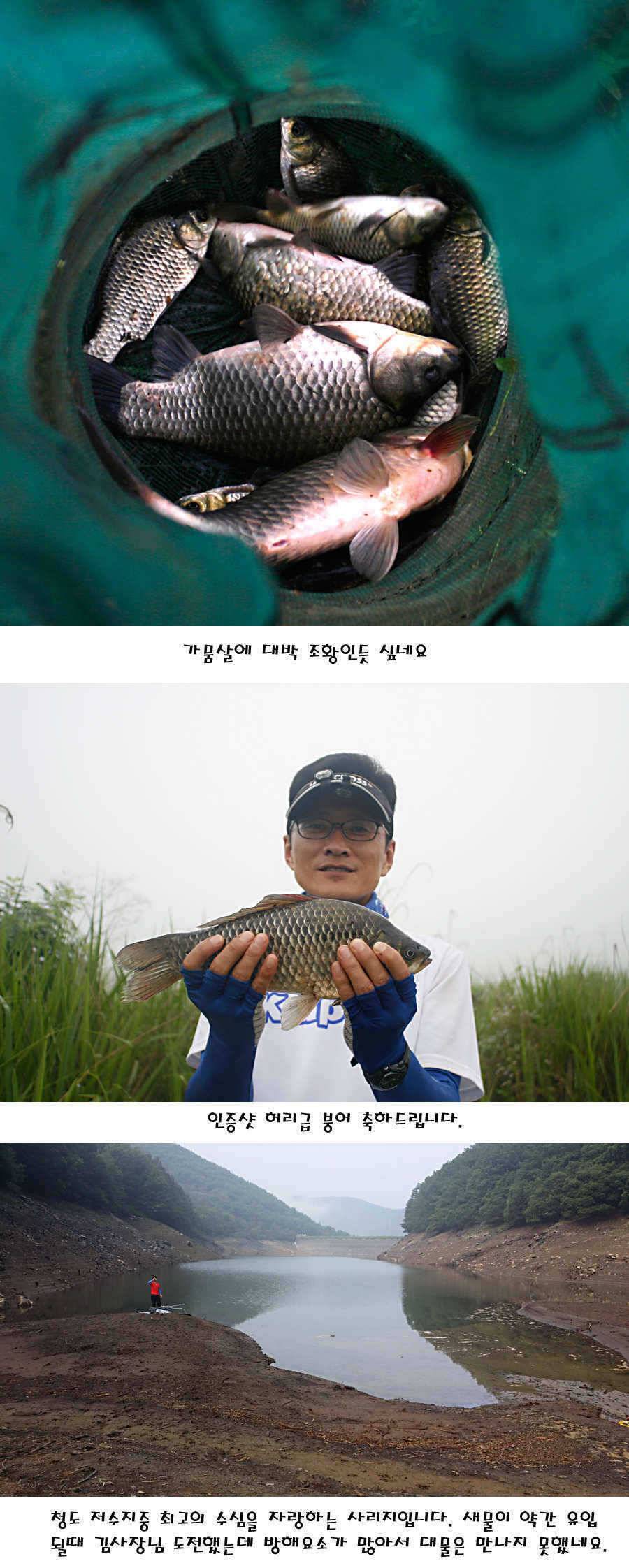 청도권 지난주 이번주 조황 (조황조행기 - 특파원조황)