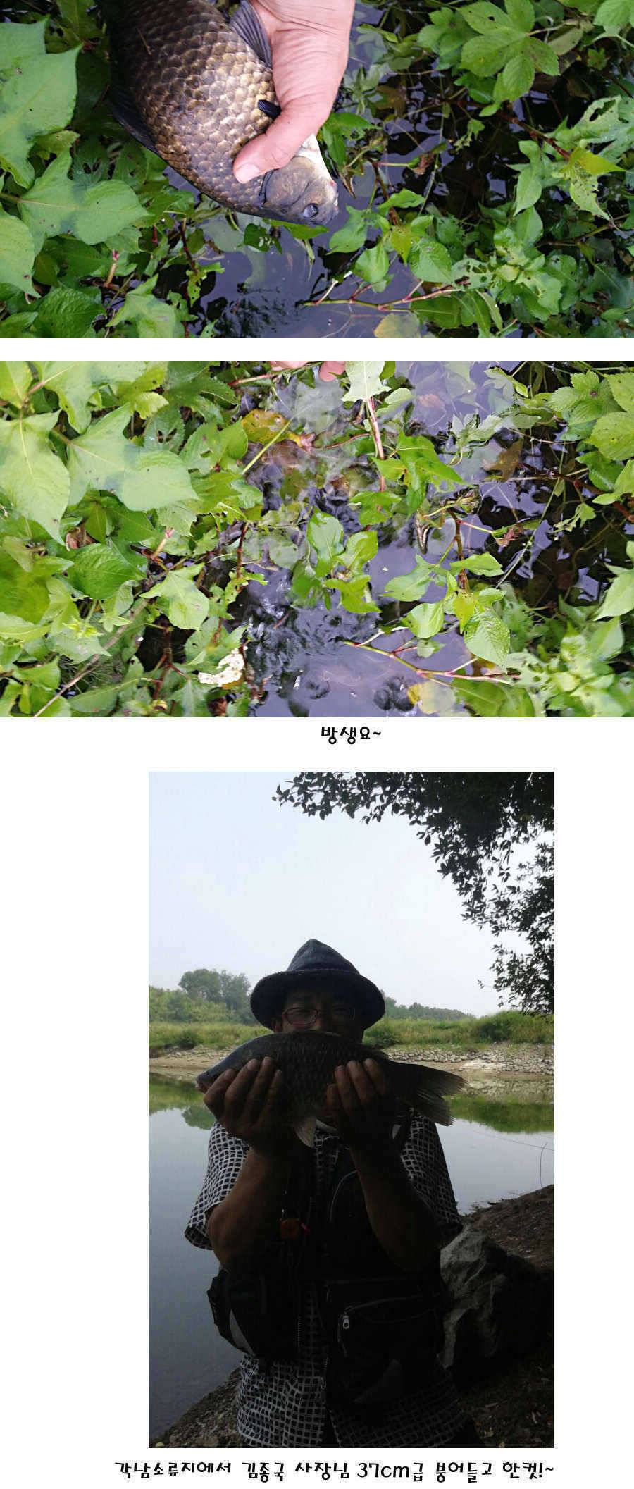 청도권 지난주 이번주 조황 (조황조행기 - 특파원조황)