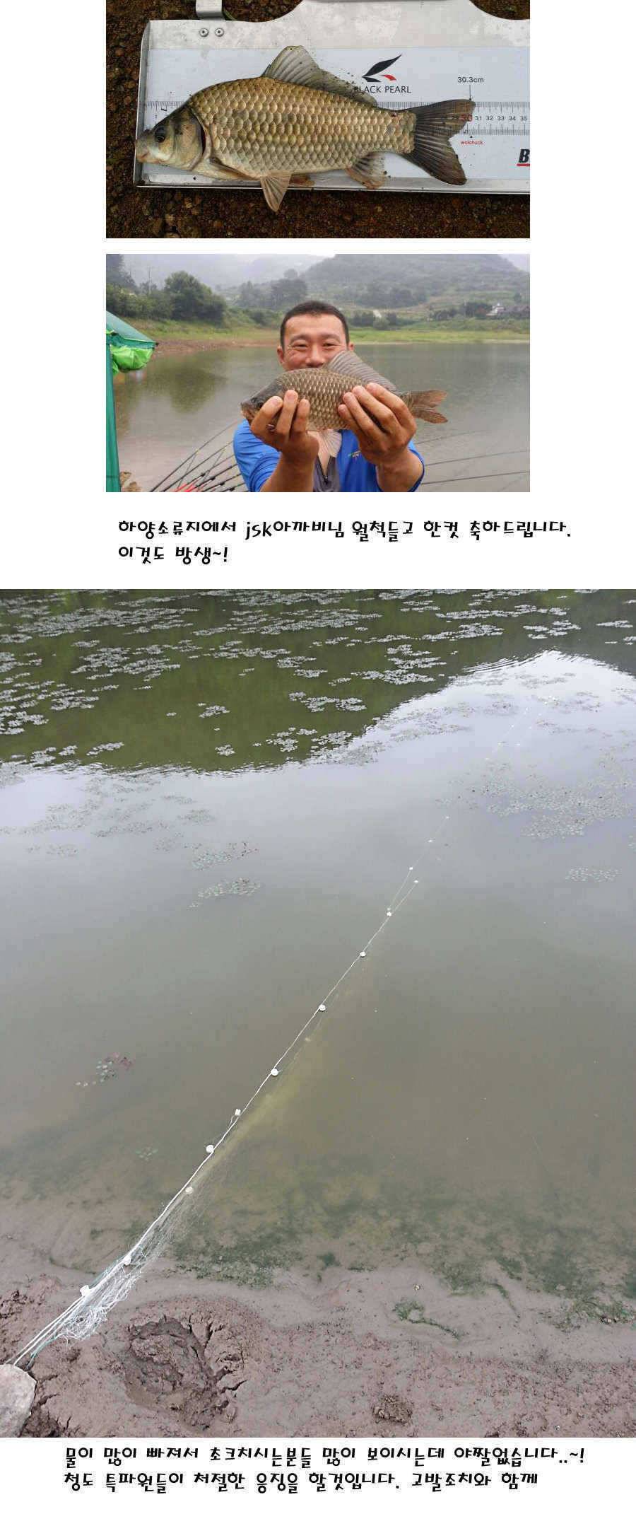 청도권 지난주 이번주 조황 (조황조행기 - 특파원조황)