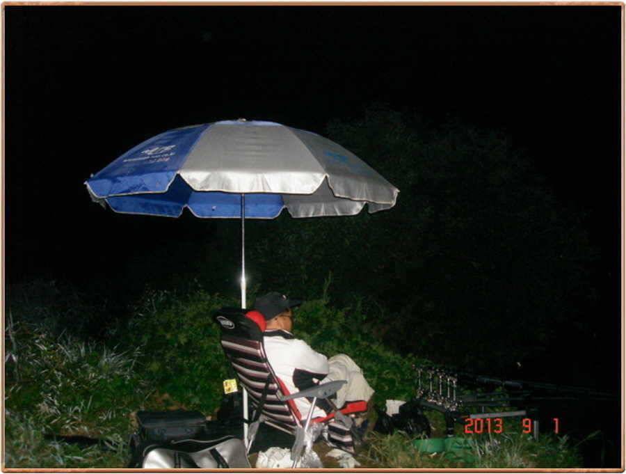 진위천 소식 (조황조행기 - 특파원조황)