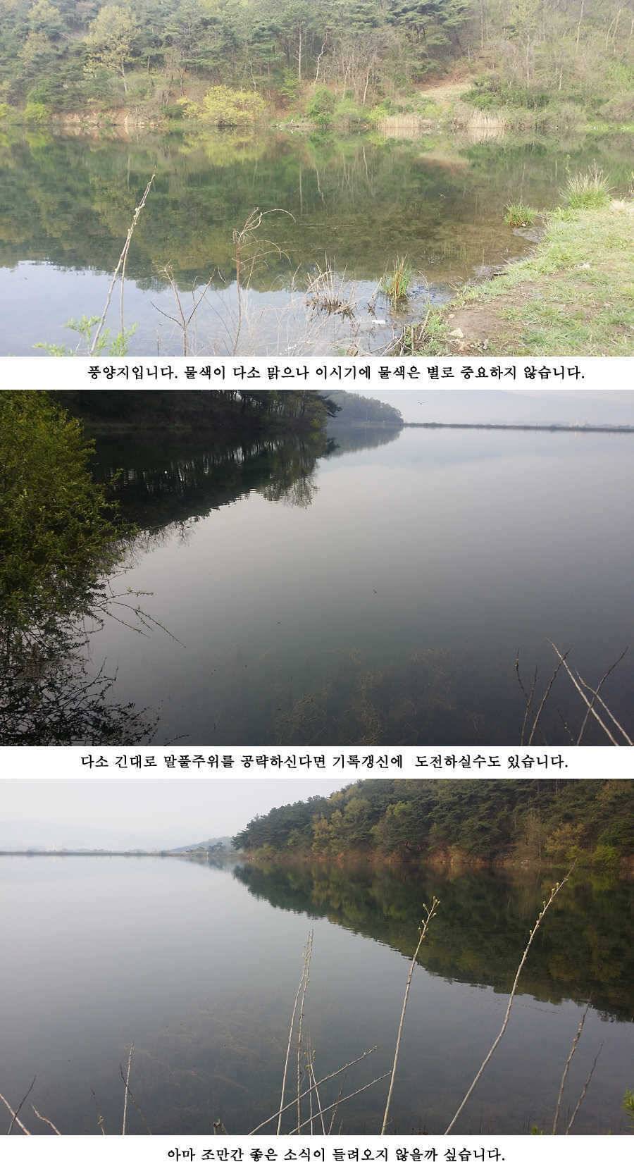 청도권 빵빵 터집니다 (조황조행기 - 특파원조황)