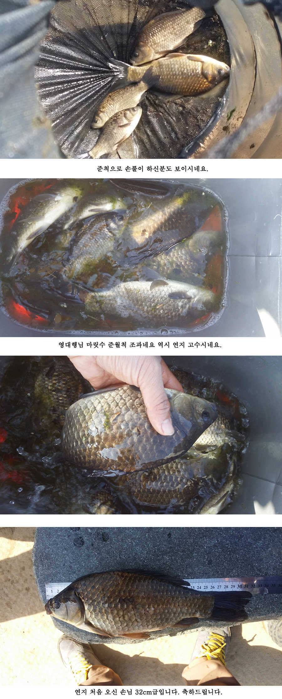 청도권 빵빵 터집니다 (조황조행기 - 특파원조황)
