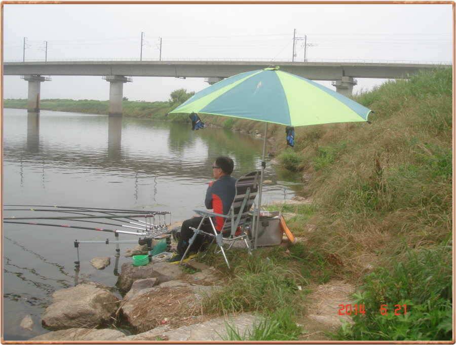 진위천 조황 소식 (조황조행기 - 특파원조황)
