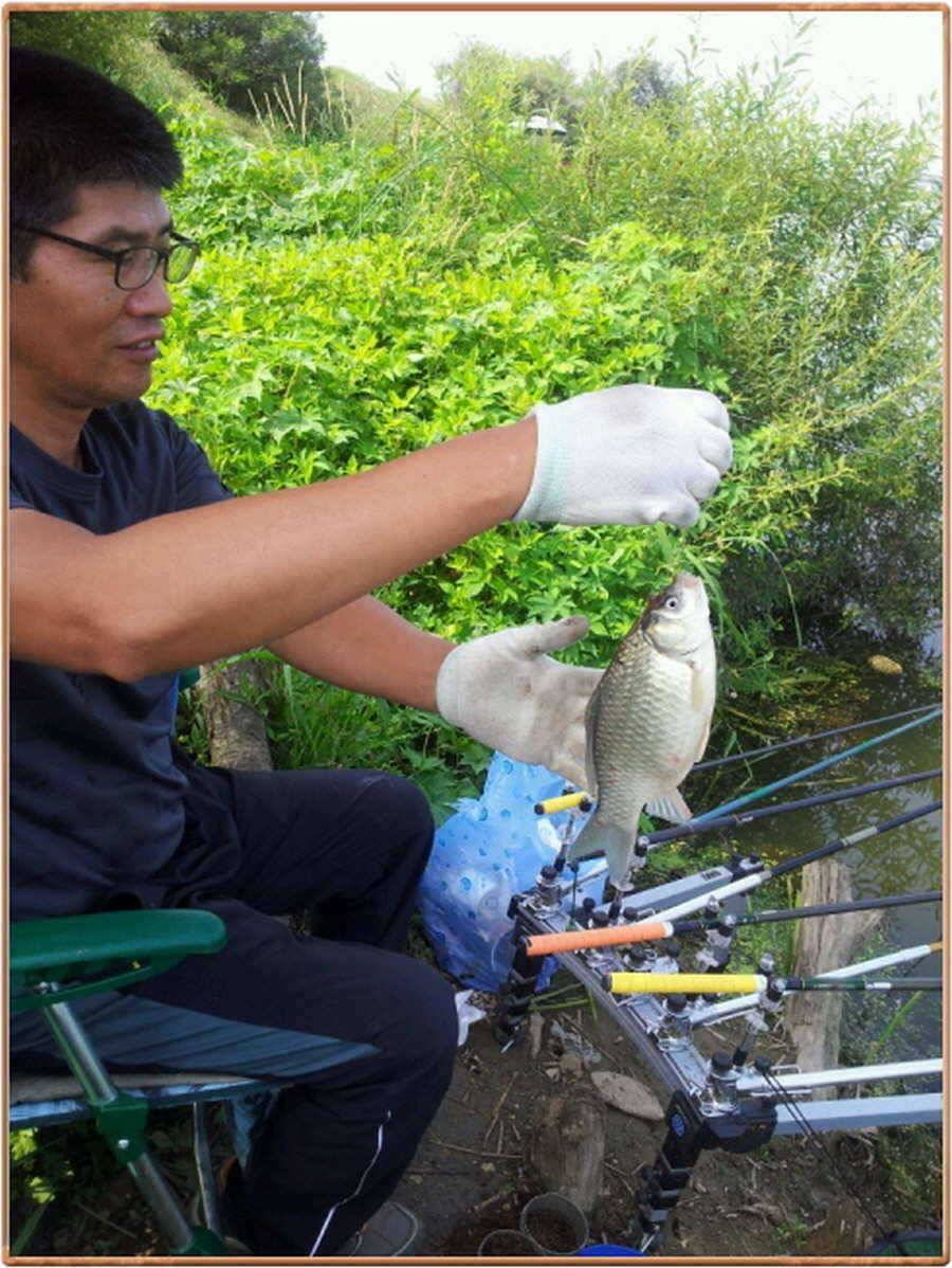 진위천 조황 소식 (조황조행기 - 특파원조황)