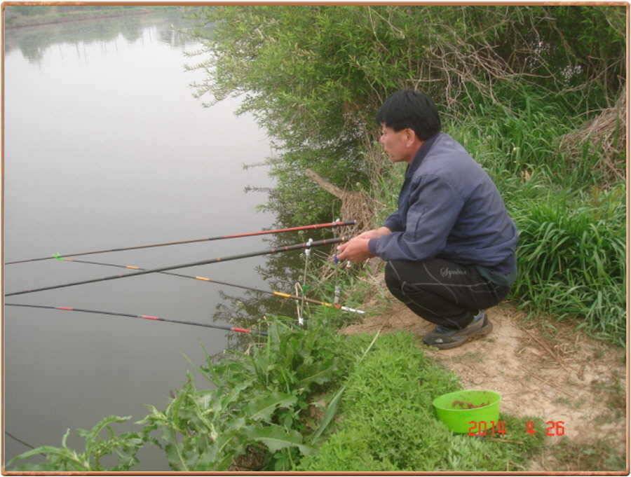 진위천 조황 소식 (조황조행기 - 특파원조황)