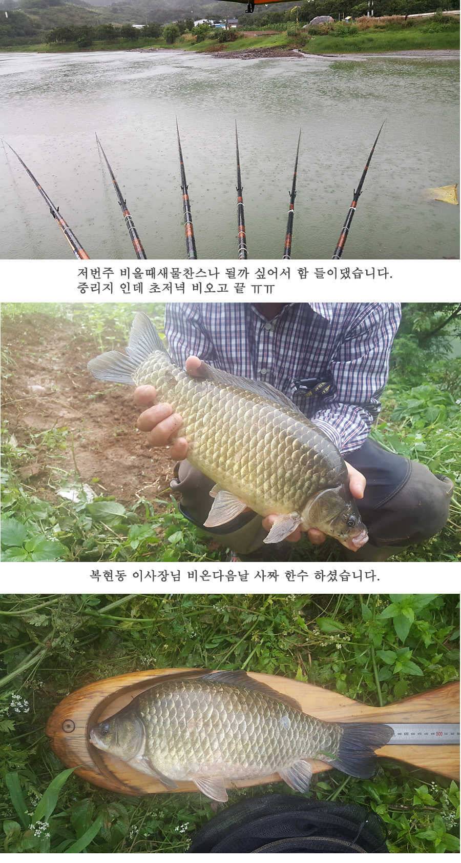 청도권 청도천이 대세입니다 (조황조행기 - 특파원조황)