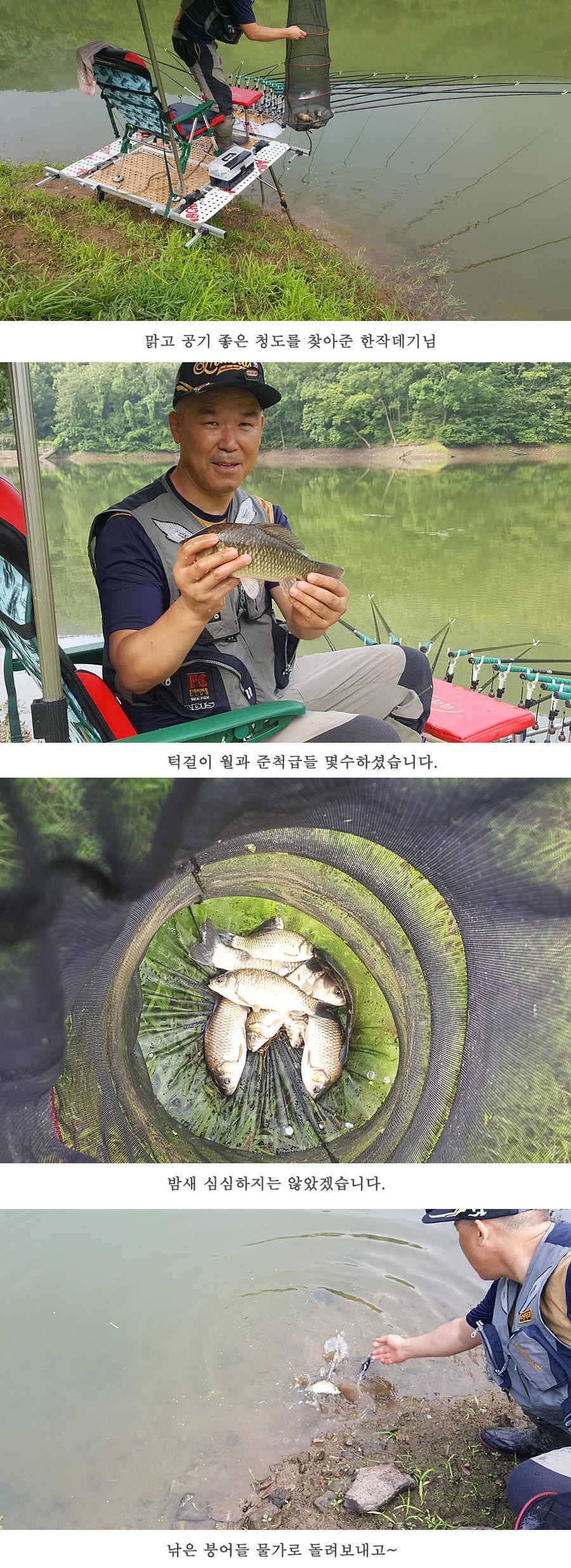 청도권 청도천이 대세입니다 (조황조행기 - 특파원조황)