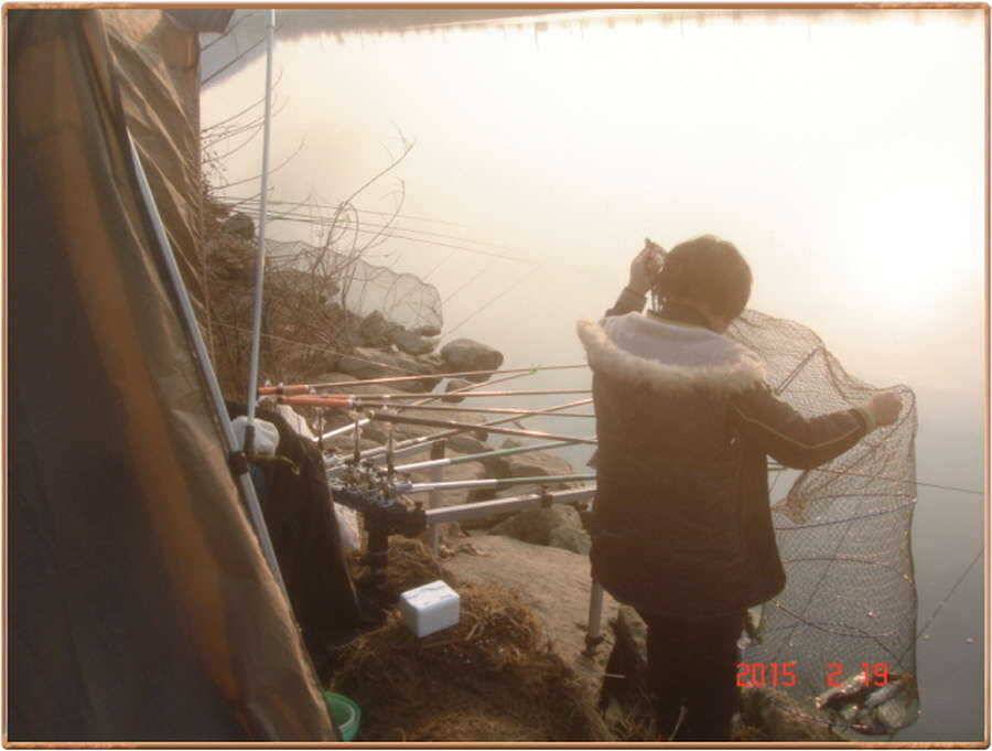 진위천 조황 소식 (조황조행기 - 특파원조황)