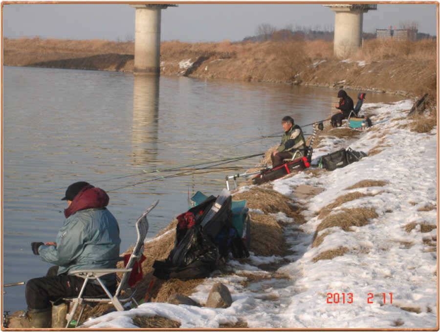 진위천 조황 소식 (조황조행기 - 특파원조황)