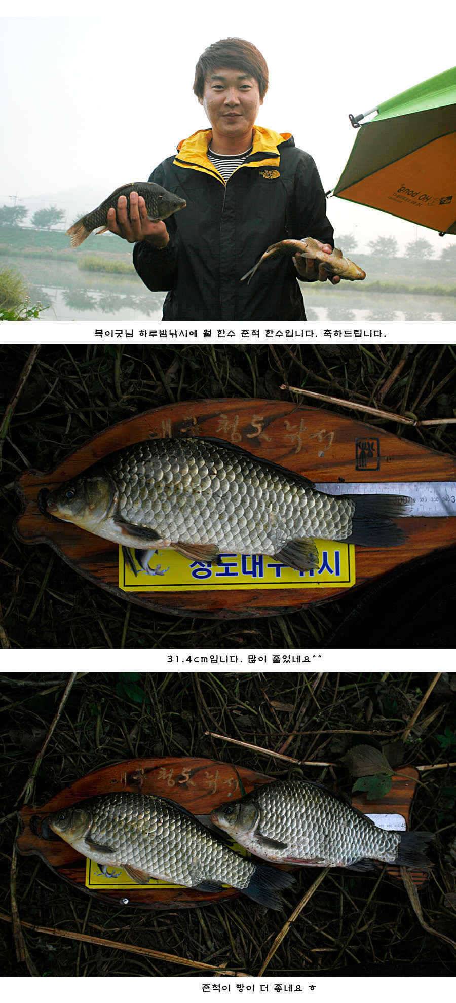 청도권 청도천 여전히 빵빵 터집니다 (조황조행기 - 특파원조황)