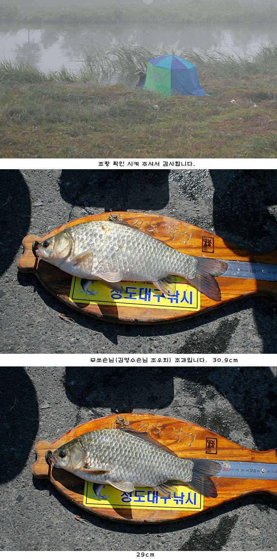 청도권 청도천 여전히 빵빵 터집니다 (조황조행기 - 특파원조황)