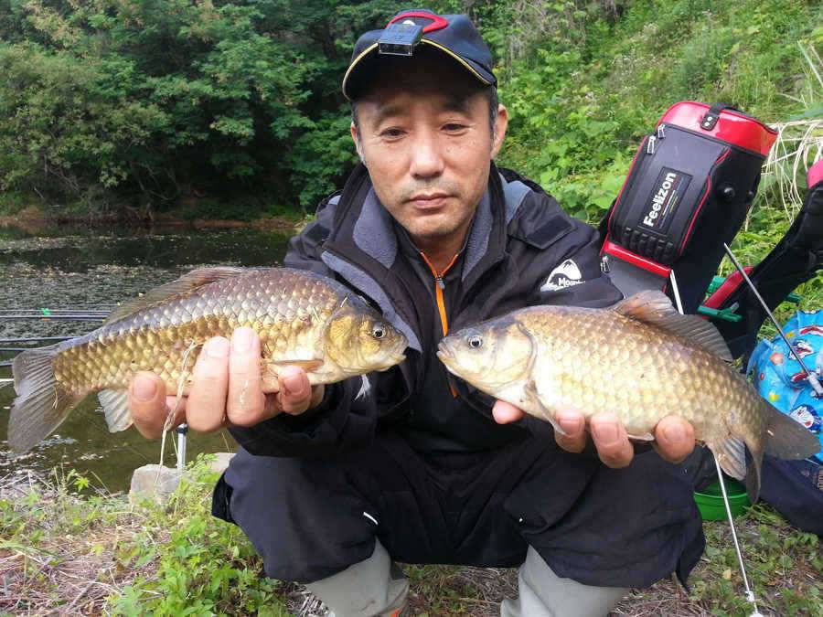 청도권 주중조황 42cm 51cm (조황조행기 - 특파원조황)