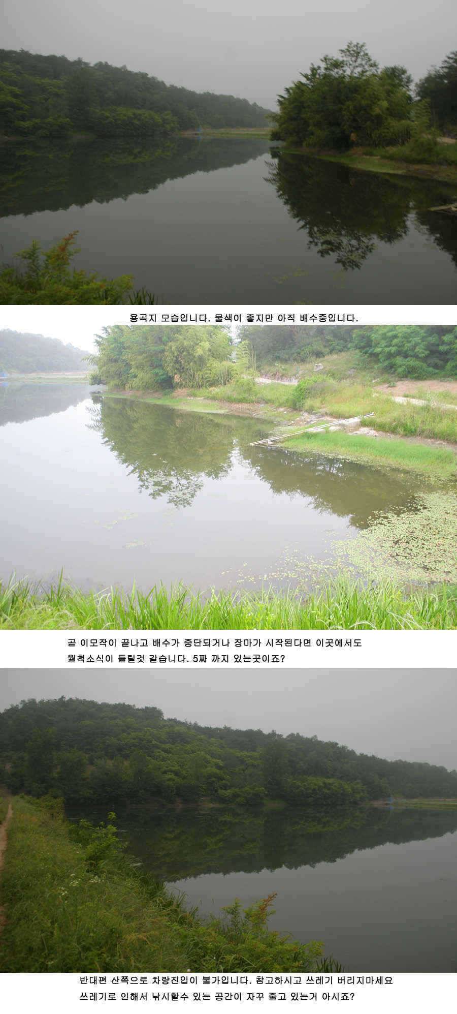 청도권 주중조황 42cm 51cm (조황조행기 - 특파원조황)