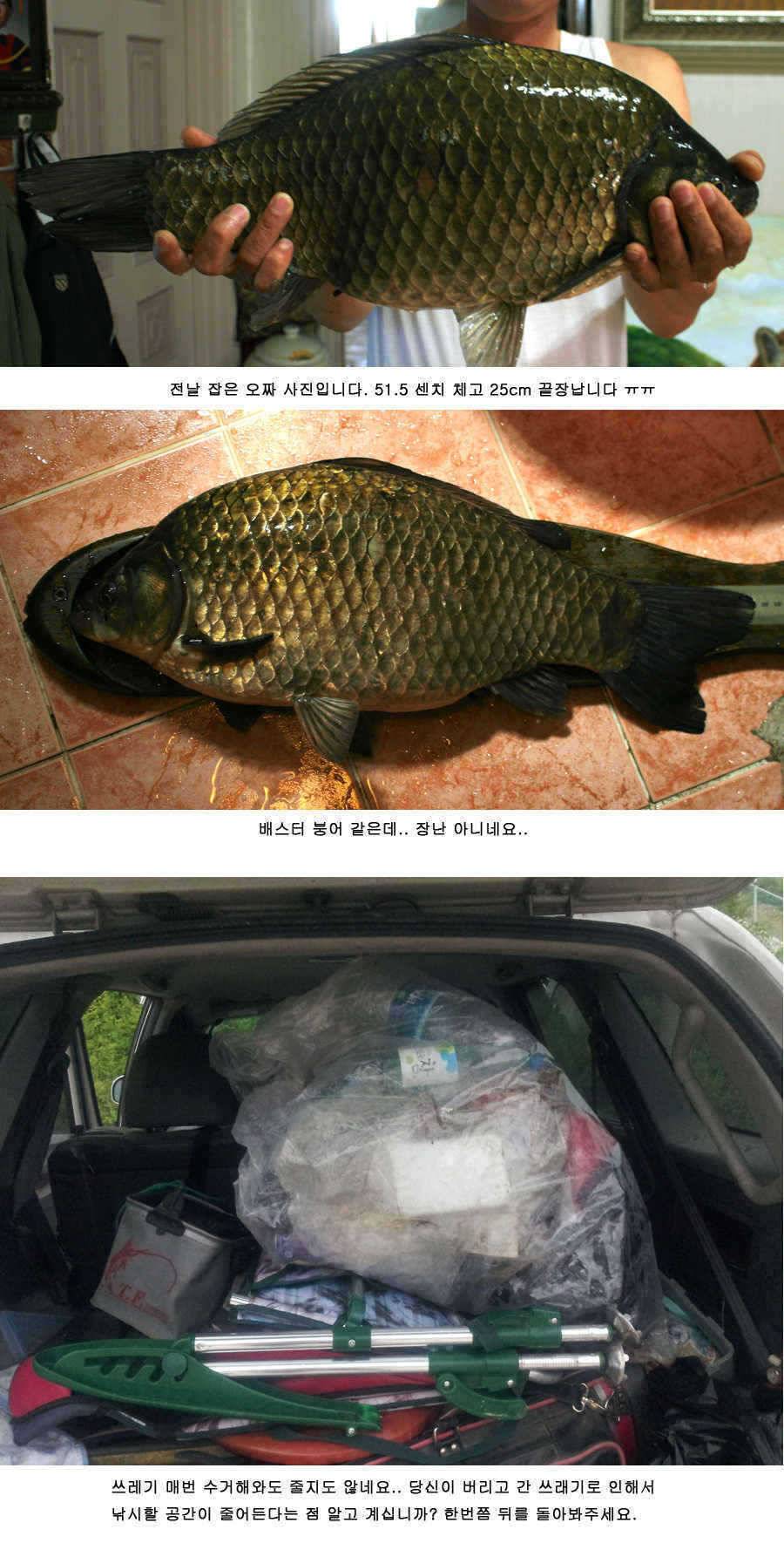 청도권 주중조황 42cm 51cm (조황조행기 - 특파원조황)