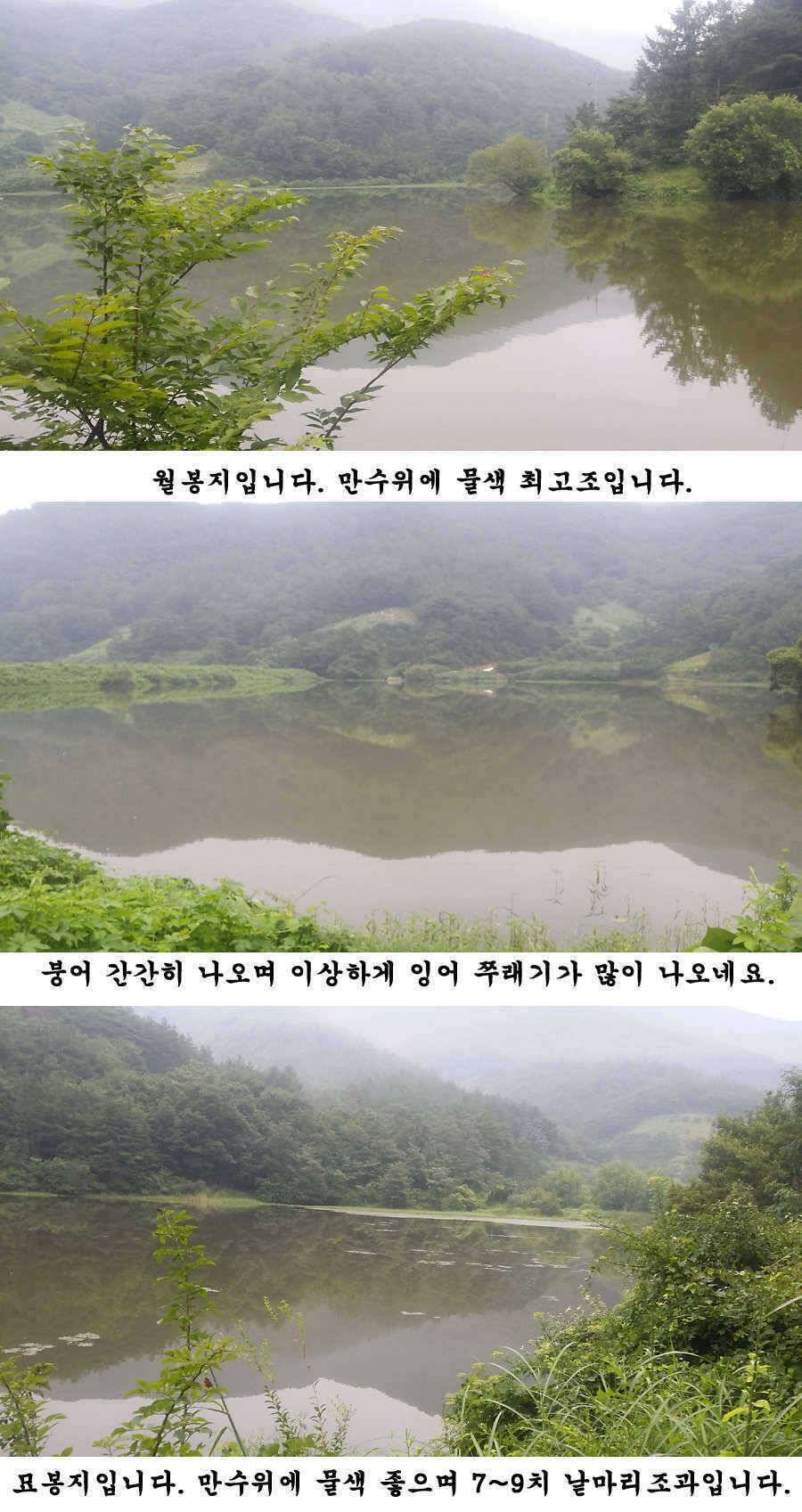 청도권 가을 시즌 빵빵 터집니다 (조황조행기 - 특파원조황)