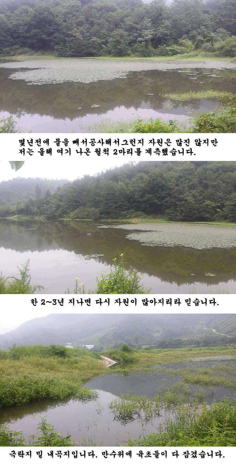 청도권 가을 시즌 빵빵 터집니다 (조황조행기 - 특파원조황)
