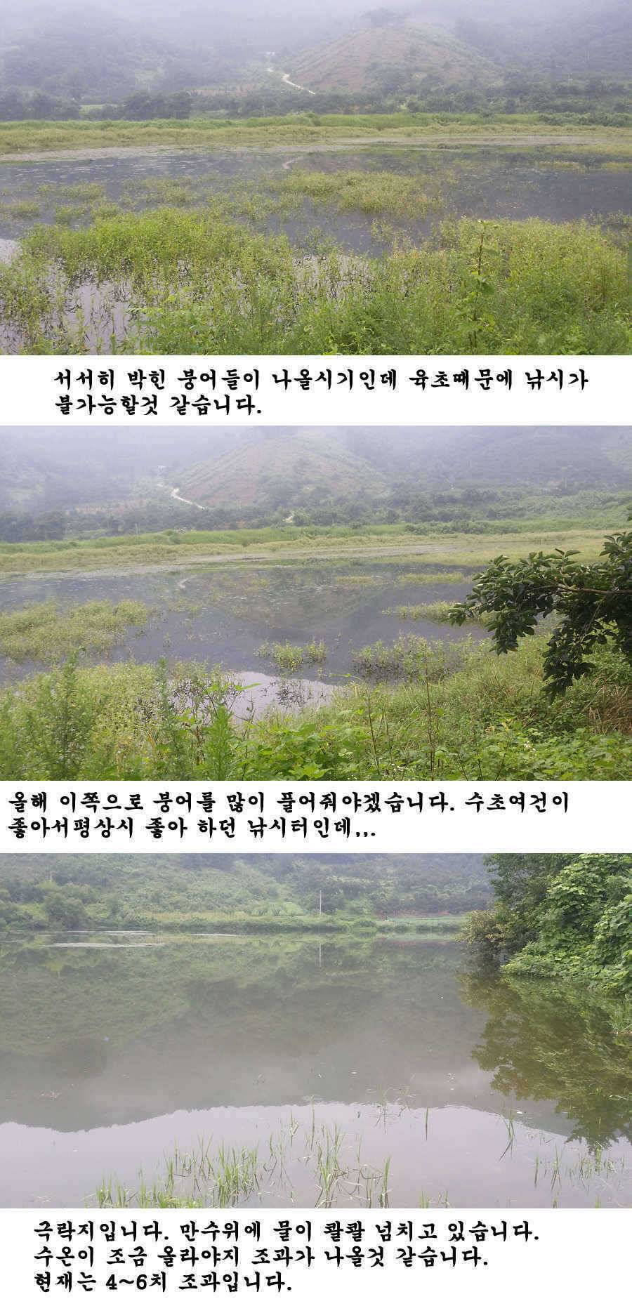 청도권 가을 시즌 빵빵 터집니다 (조황조행기 - 특파원조황)
