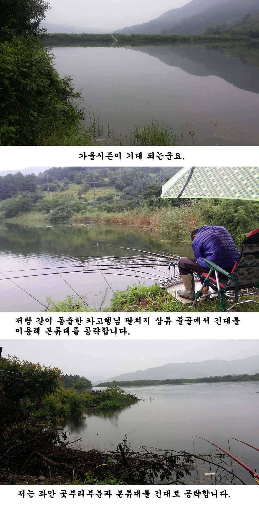청도권 가을 시즌 빵빵 터집니다 (조황조행기 - 특파원조황)