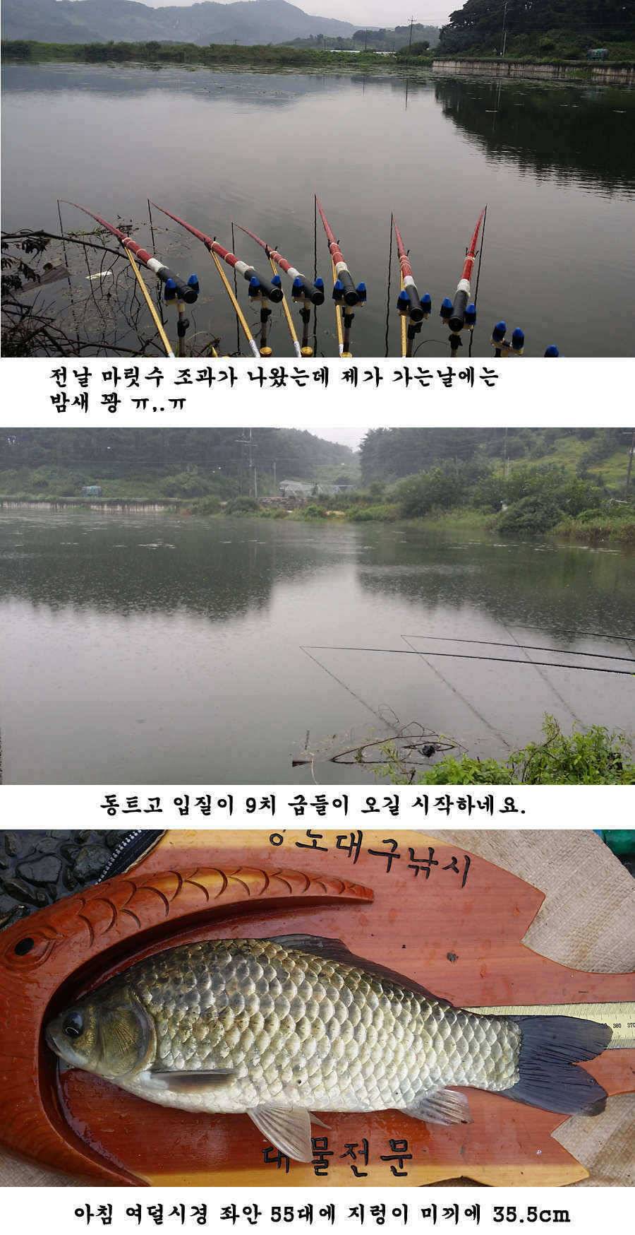 청도권 가을 시즌 빵빵 터집니다 (조황조행기 - 특파원조황)