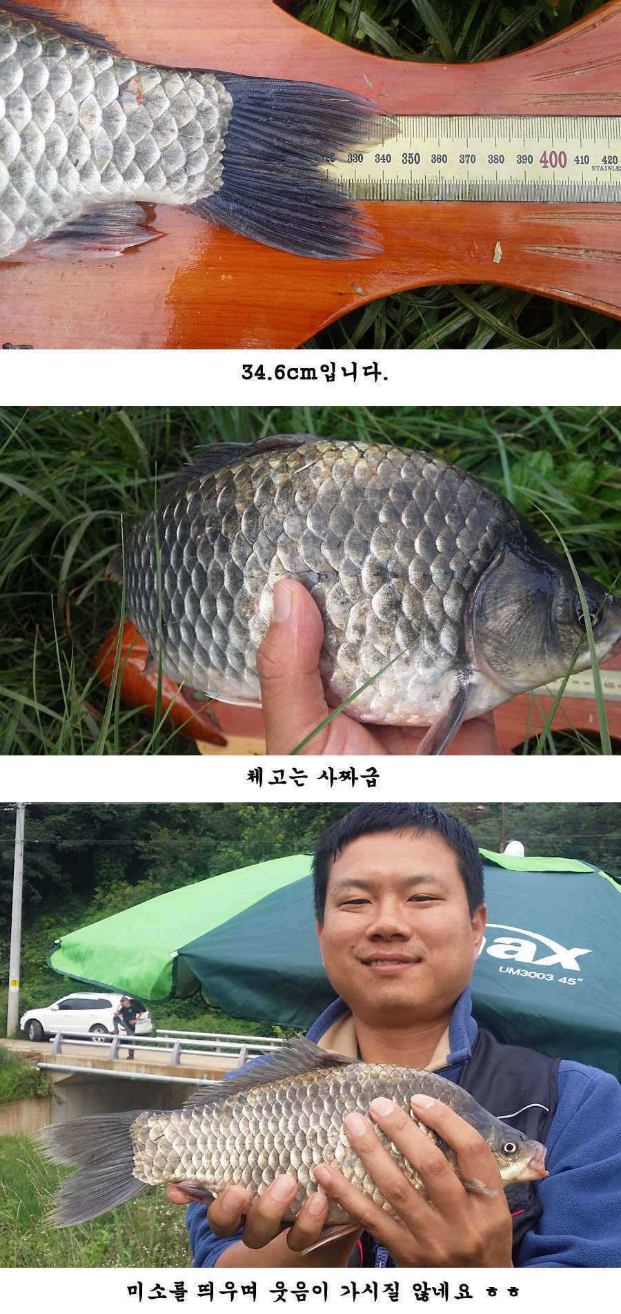 청도권 가을 시즌 빵빵 터집니다 (조황조행기 - 특파원조황)