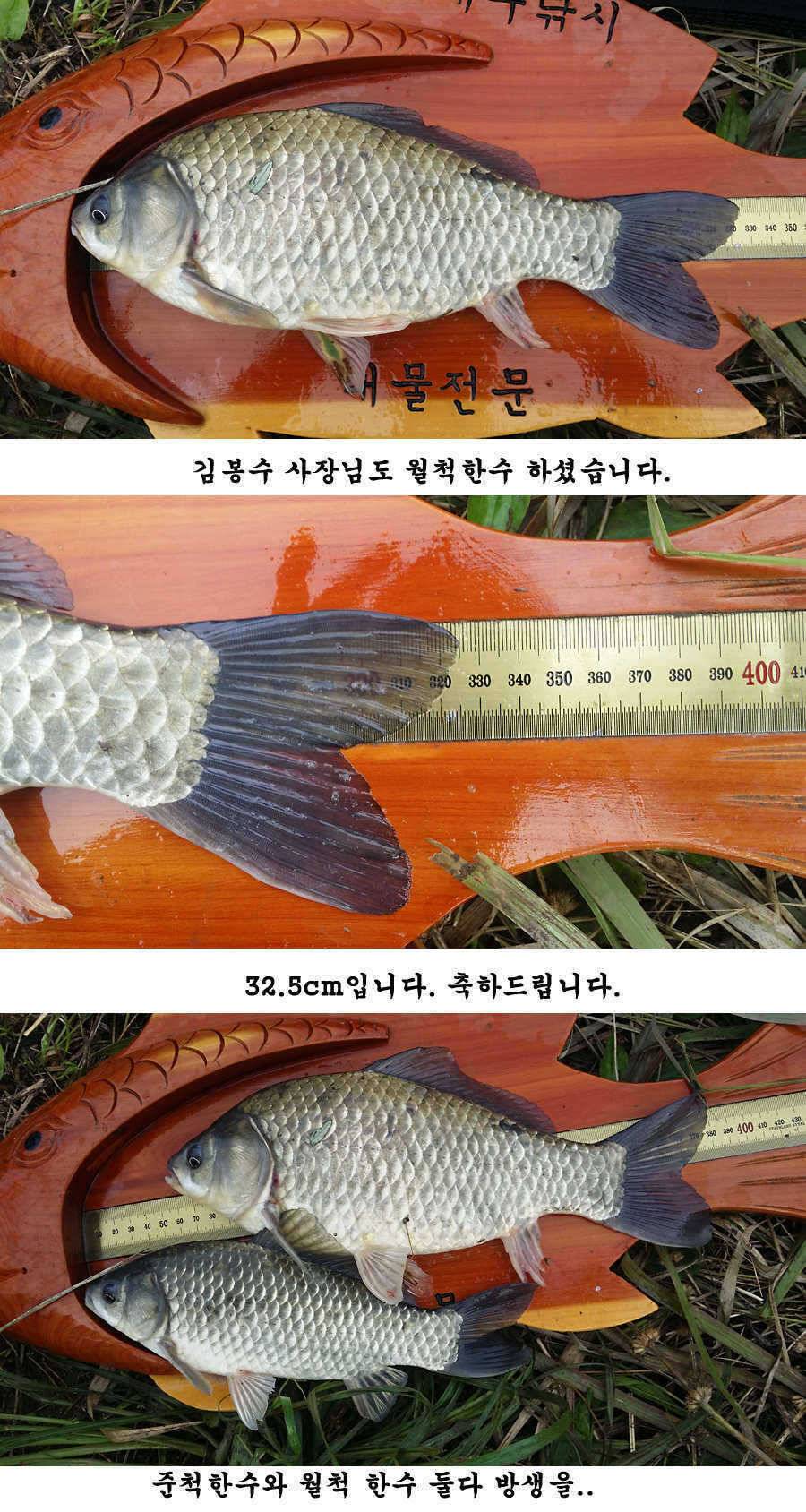 청도권 가을 시즌 빵빵 터집니다 (조황조행기 - 특파원조황)