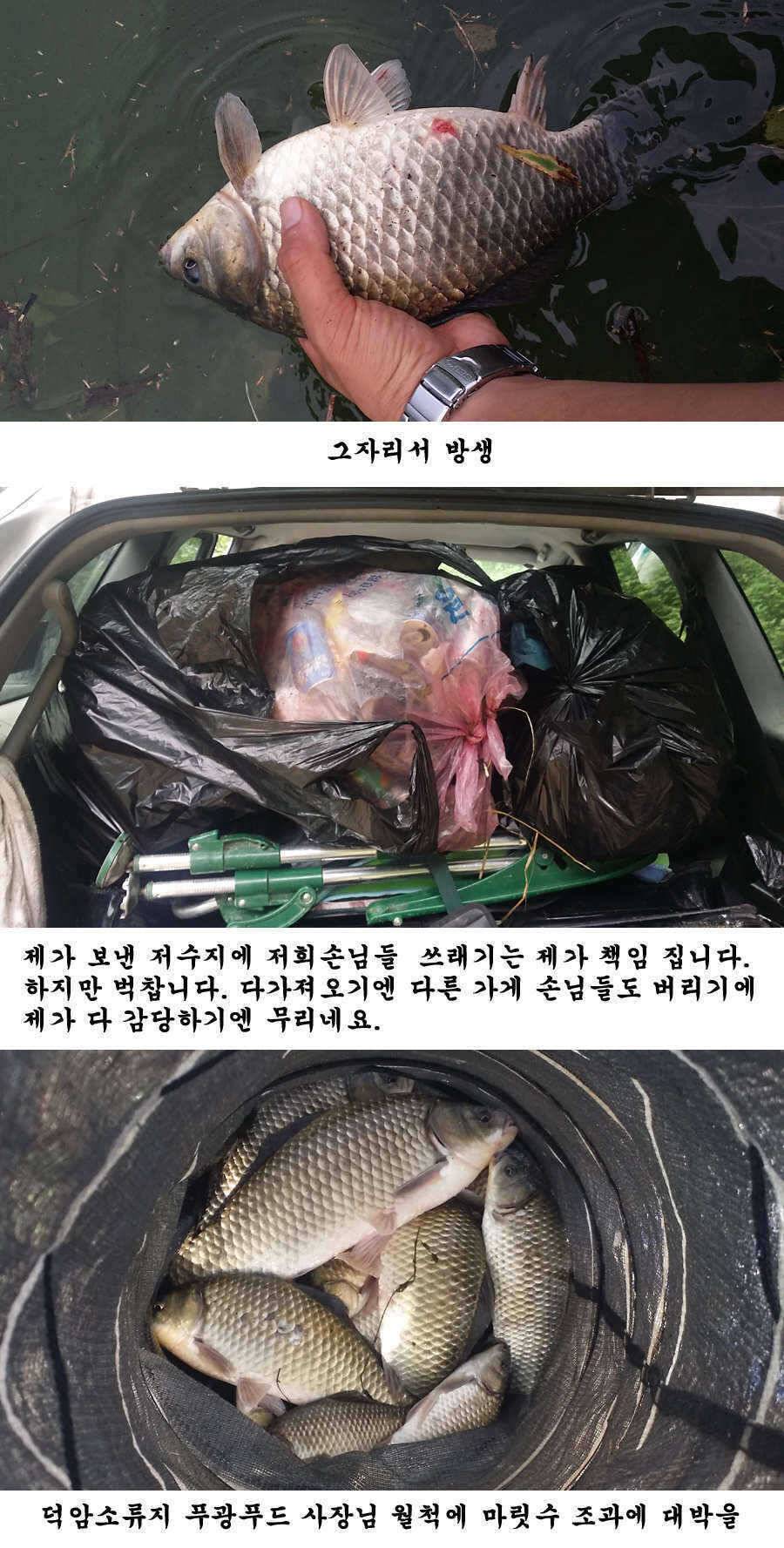 청도권 가을 시즌 빵빵 터집니다 (조황조행기 - 특파원조황)