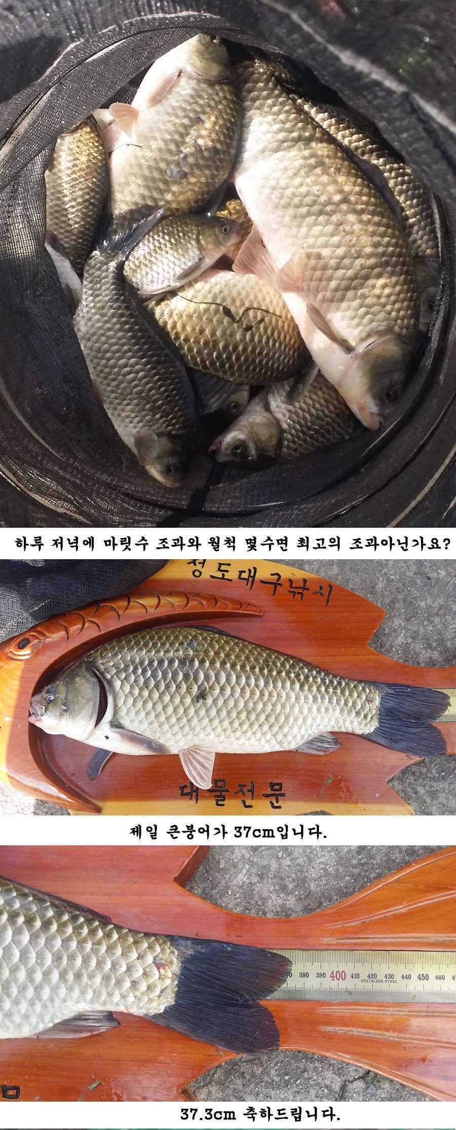 청도권 가을 시즌 빵빵 터집니다 (조황조행기 - 특파원조황)