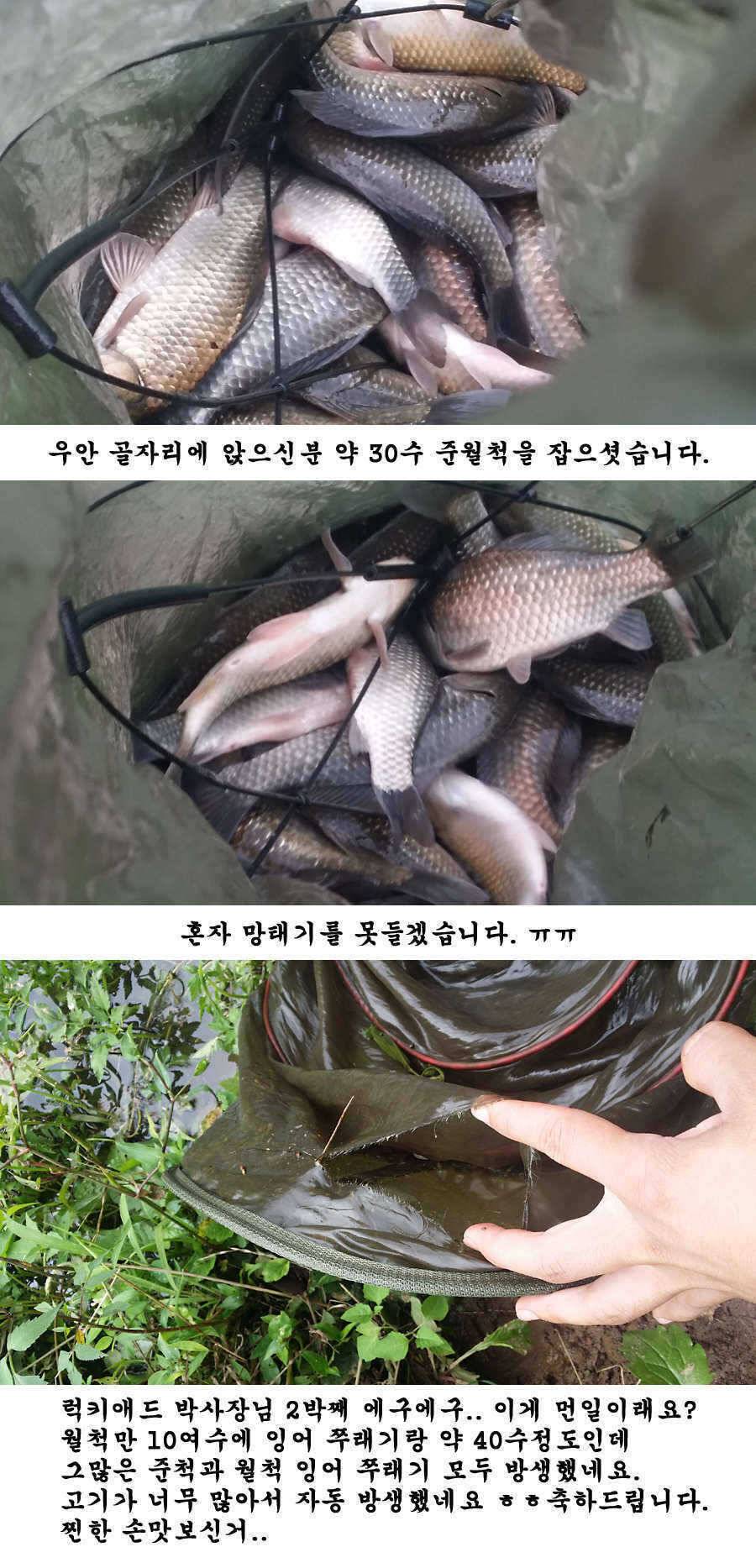 청도권 가을 시즌 빵빵 터집니다 (조황조행기 - 특파원조황)