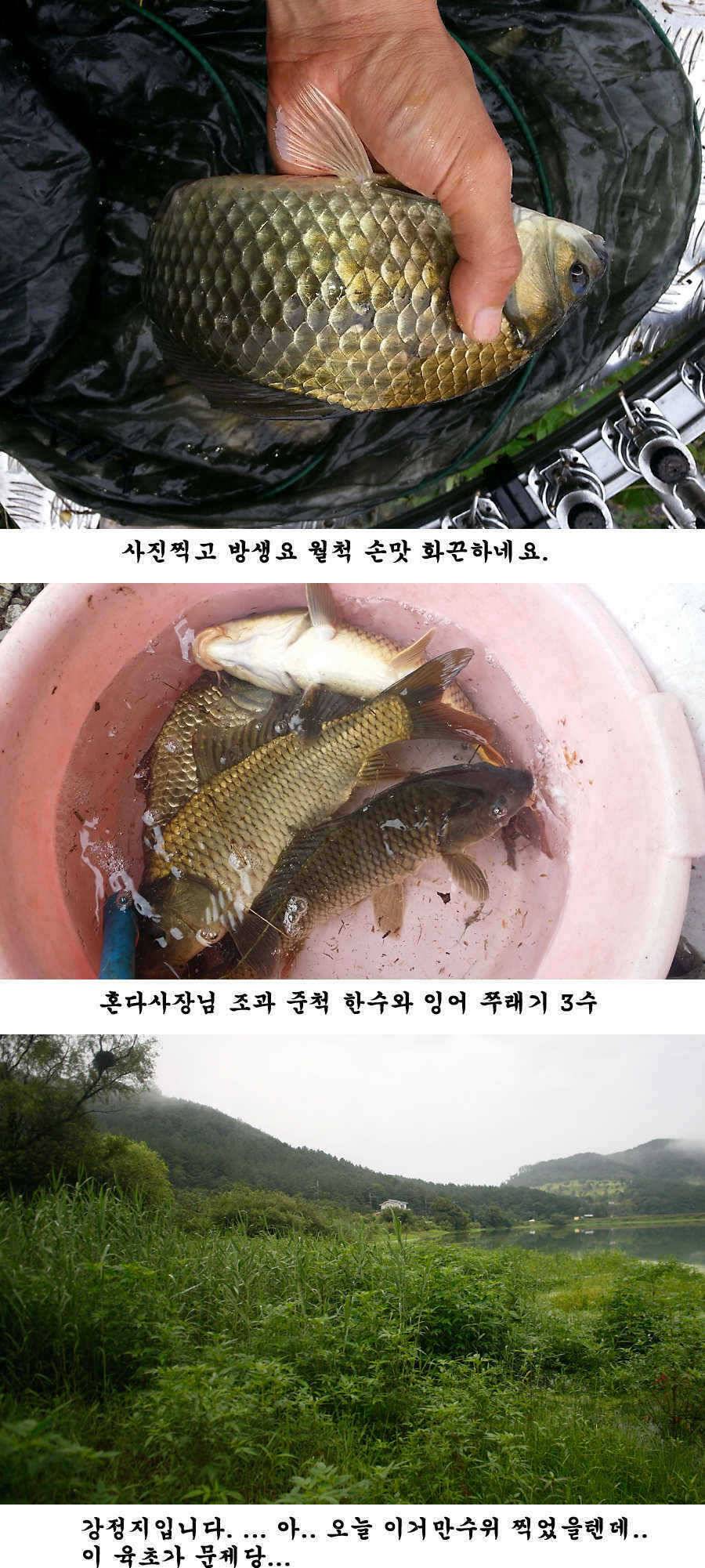 청도권 가을 시즌 빵빵 터집니다 (조황조행기 - 특파원조황)
