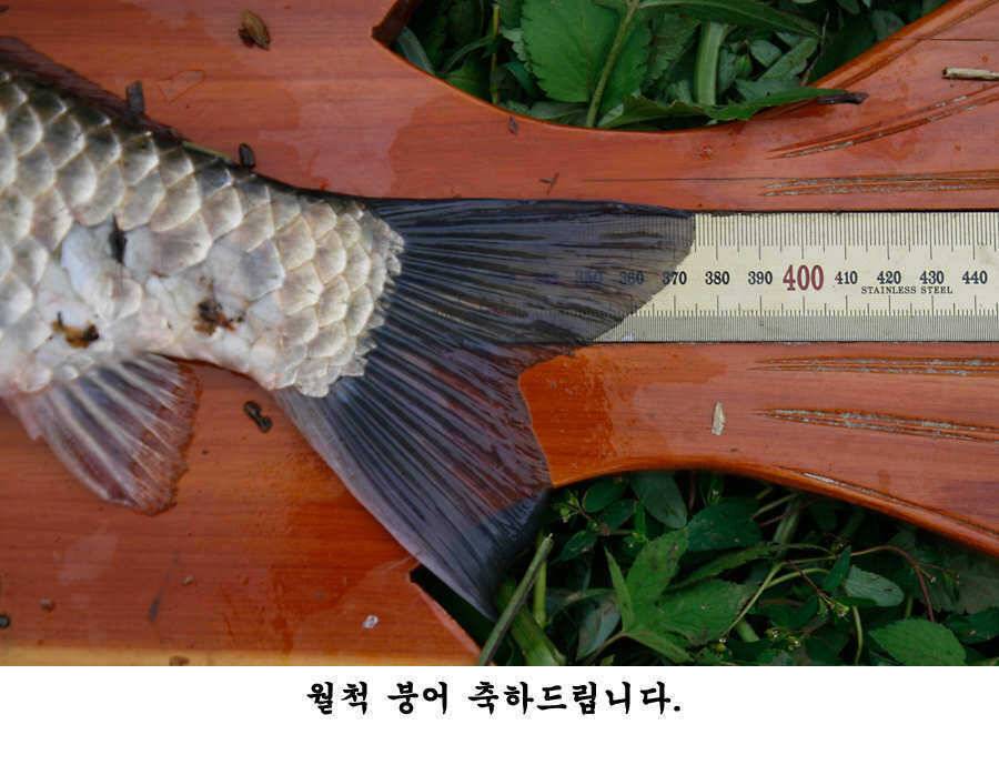 청도권 가을 시즌 빵빵 터집니다 (조황조행기 - 특파원조황)