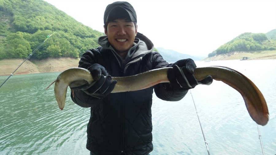 목벌낚시터 키로급 대물장어 소식 (조황조행기 - 특파원조황)