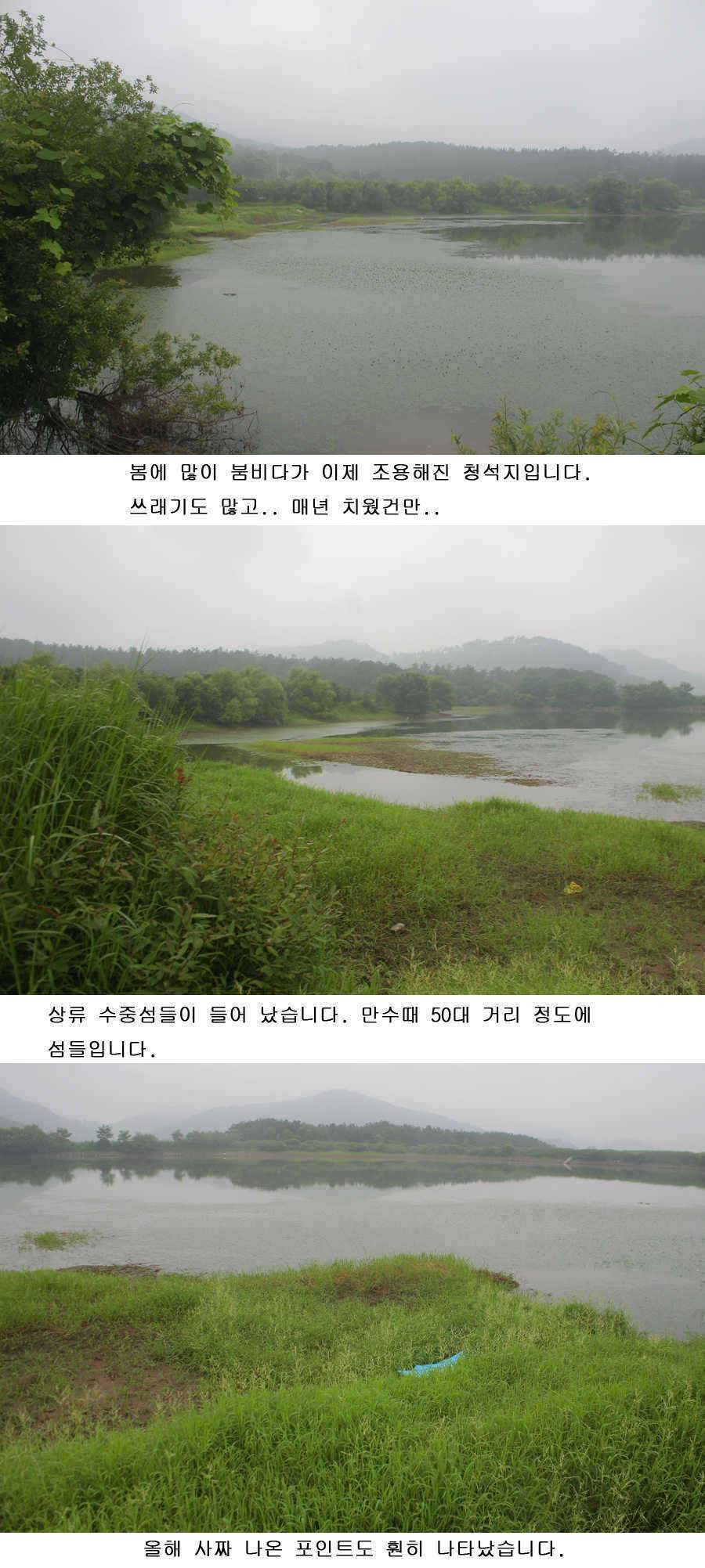 청도권 사짜 홍수 (조황조행기 - 특파원조황)