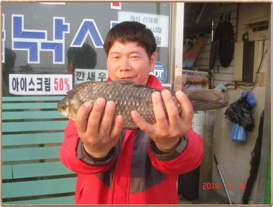 진위천 소식 (조황조행기 - 특파원조황)