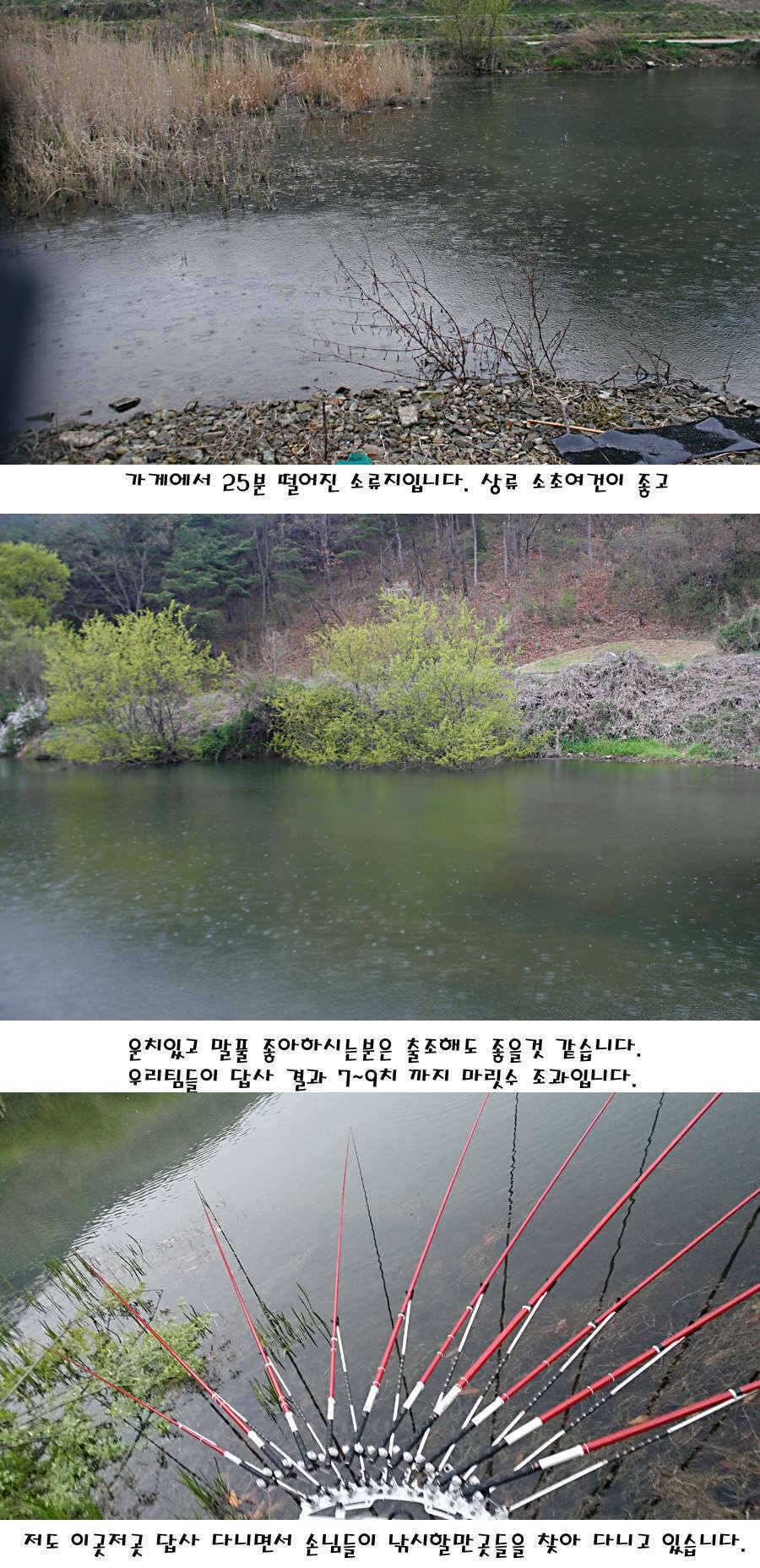 청도권 허리급에서 4짜까지 (조황조행기 - 특파원조황)