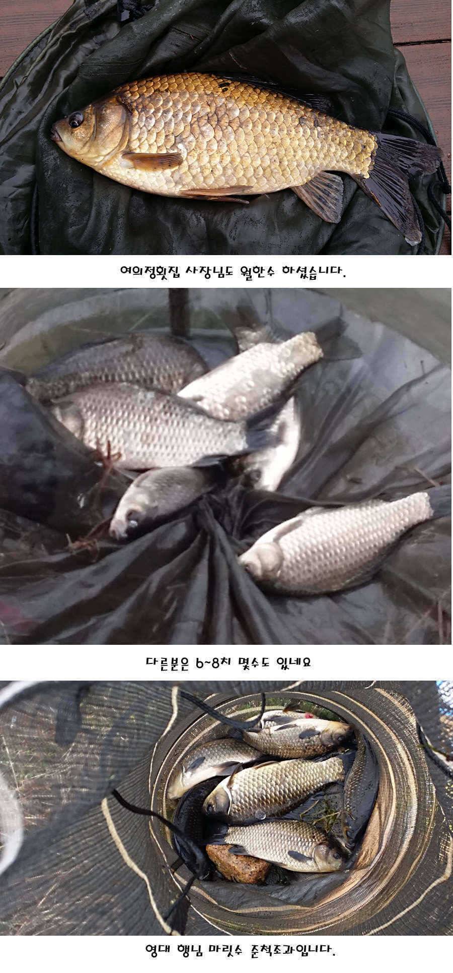 청도권 허리급에서 4짜까지 (조황조행기 - 특파원조황)