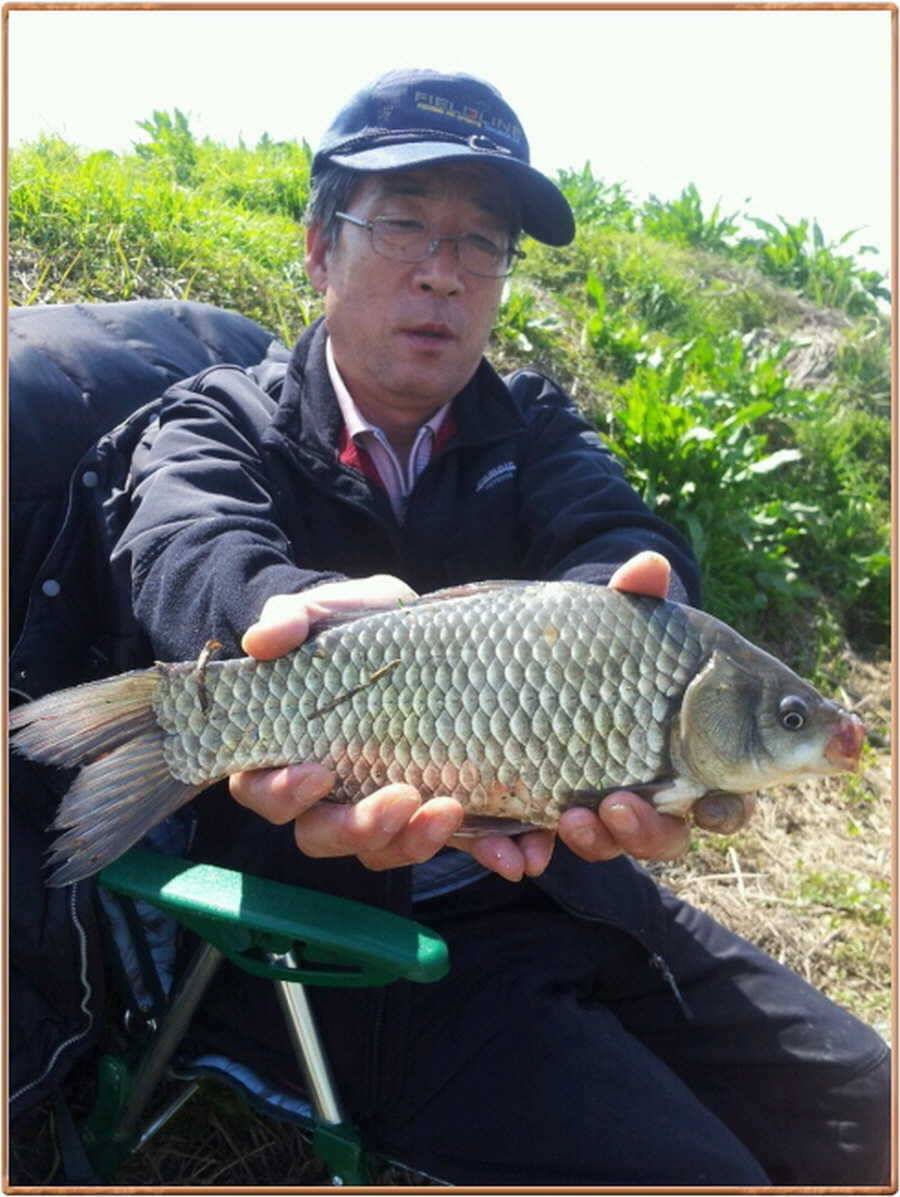 진위천 조황 소식 (조황조행기 - 특파원조황)