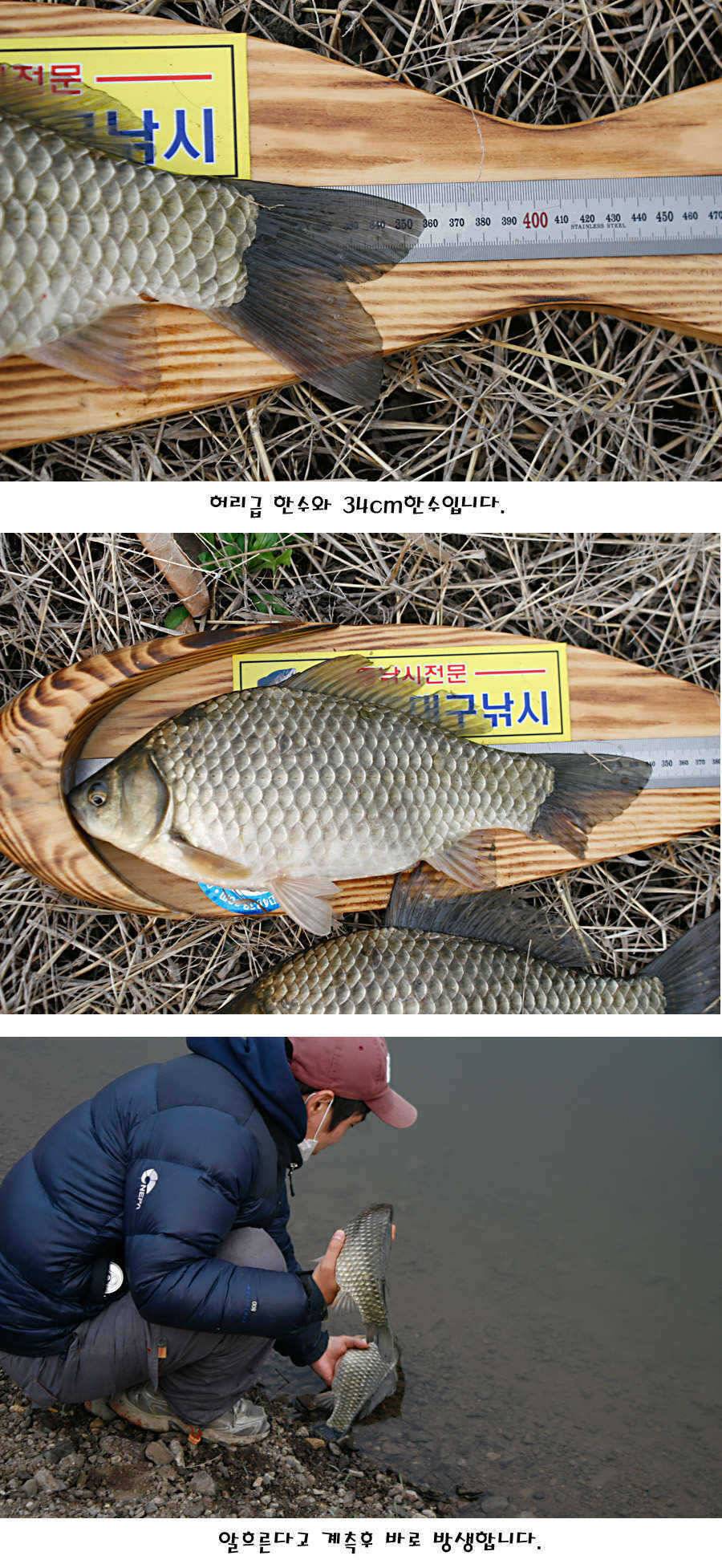 청도권 허리급에서 4짜까지 (조황조행기 - 특파원조황)