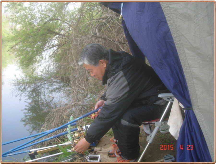 진위천 조황 소식 (조황조행기 - 특파원조황)