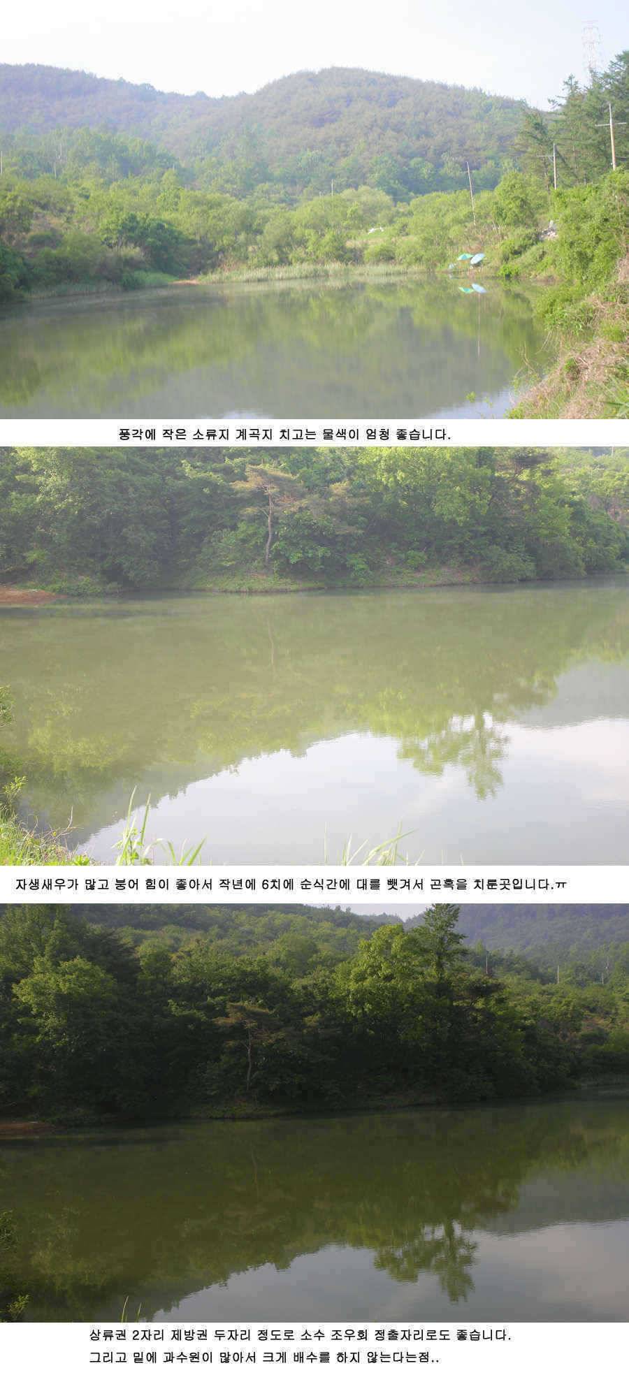 청도천 빵빵 터지고 있습니다 (조황조행기 - 특파원조황)