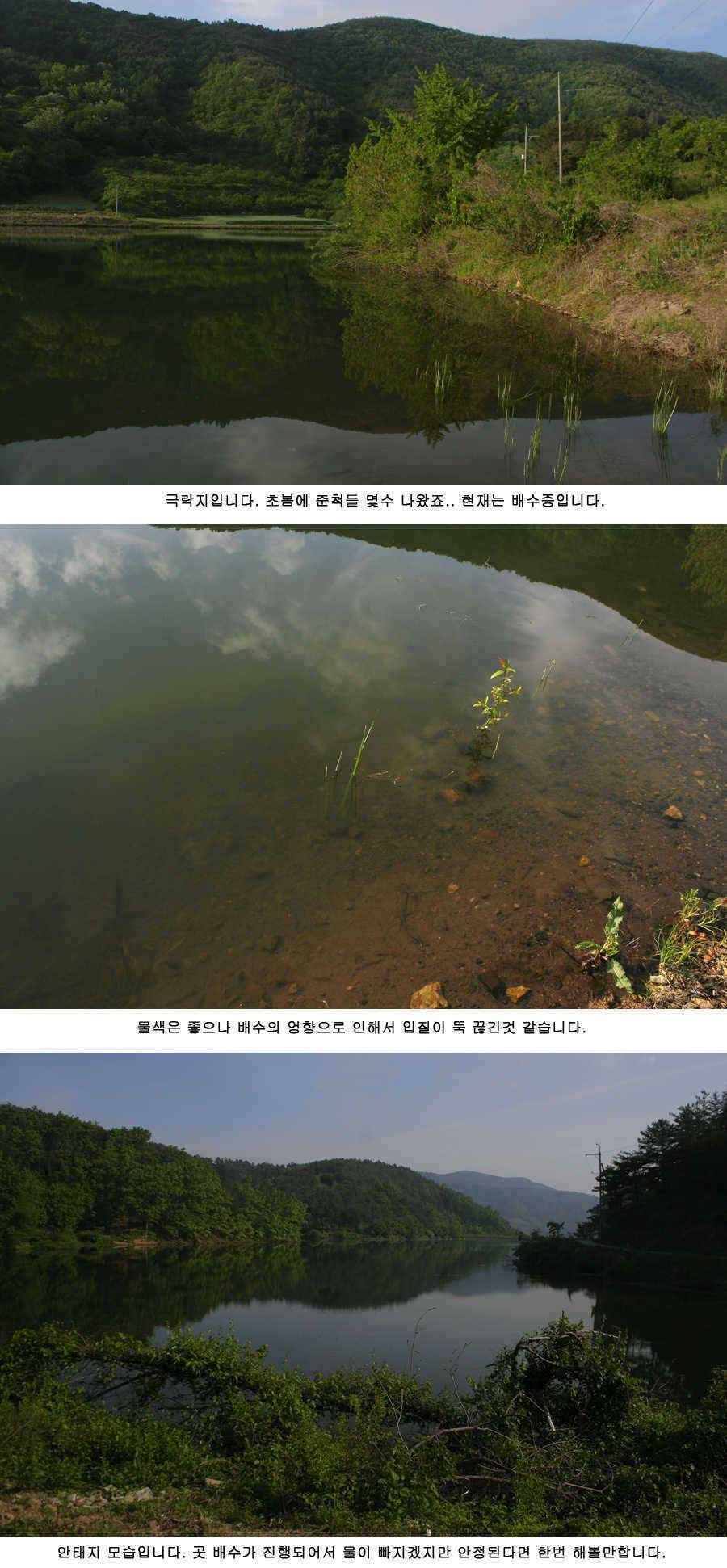 청도천 빵빵 터지고 있습니다 (조황조행기 - 특파원조황)