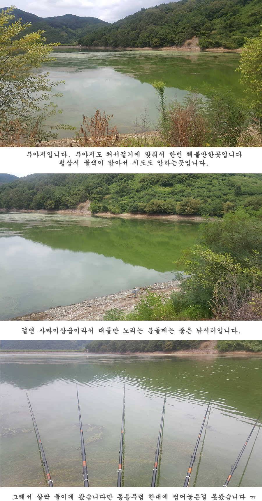 청도권 터지기 시작했습니다 (조황조행기 - 특파원조황)