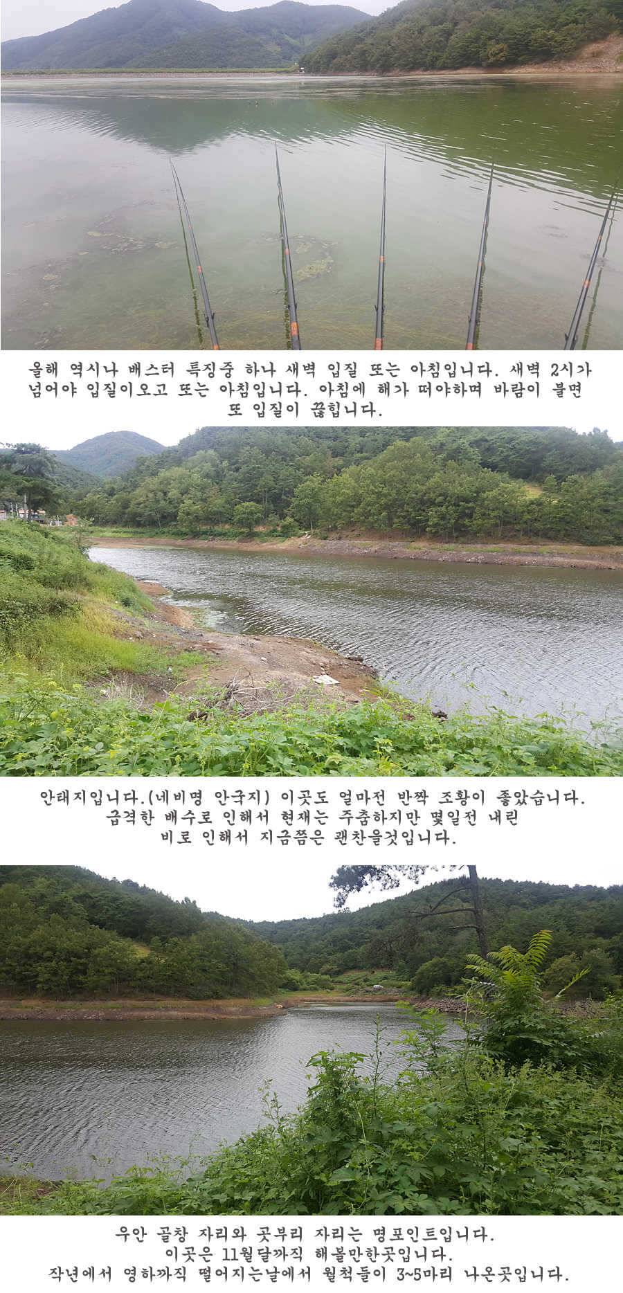 청도권 터지기 시작했습니다 (조황조행기 - 특파원조황)