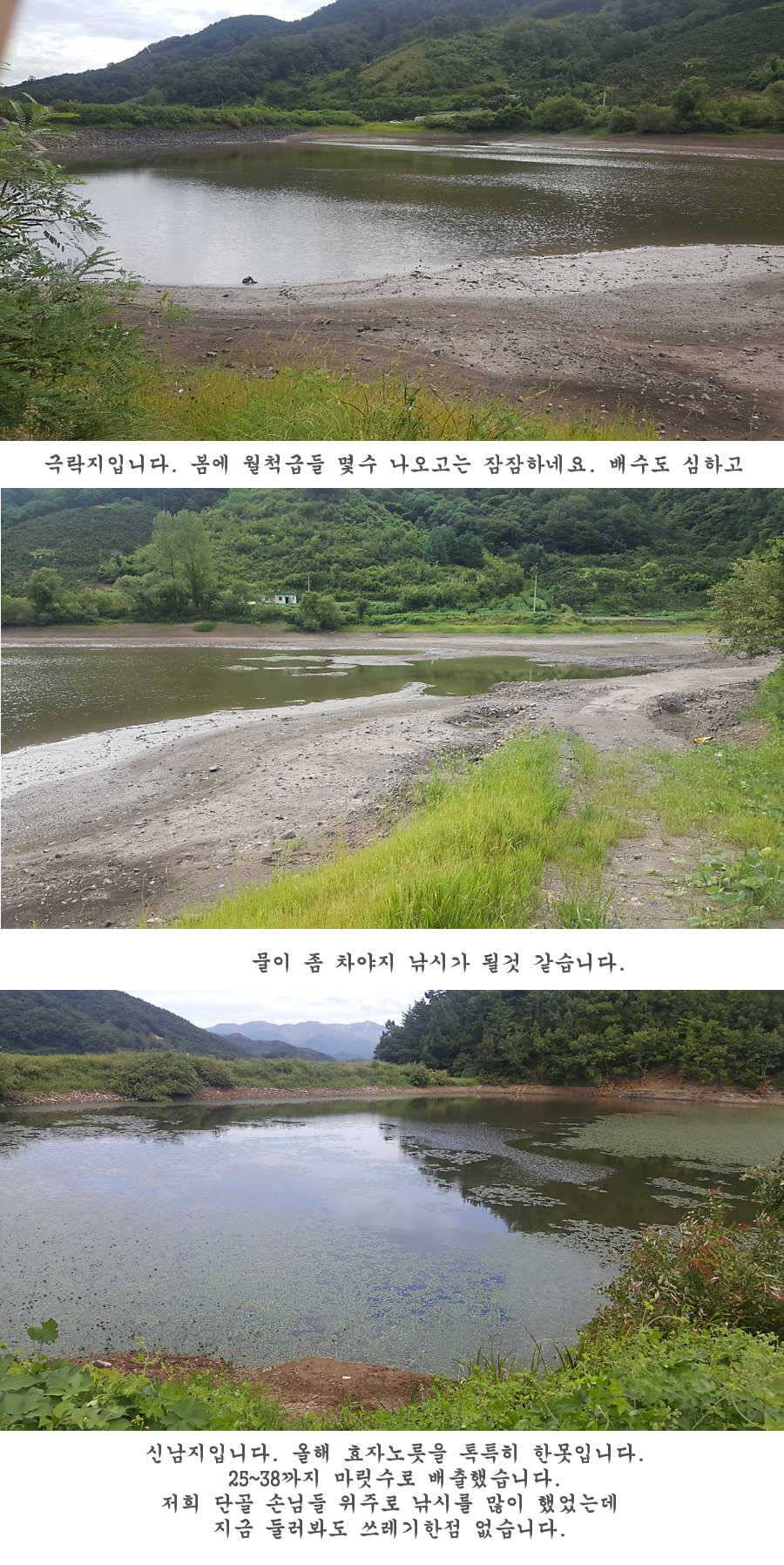 청도권 터지기 시작했습니다 (조황조행기 - 특파원조황)