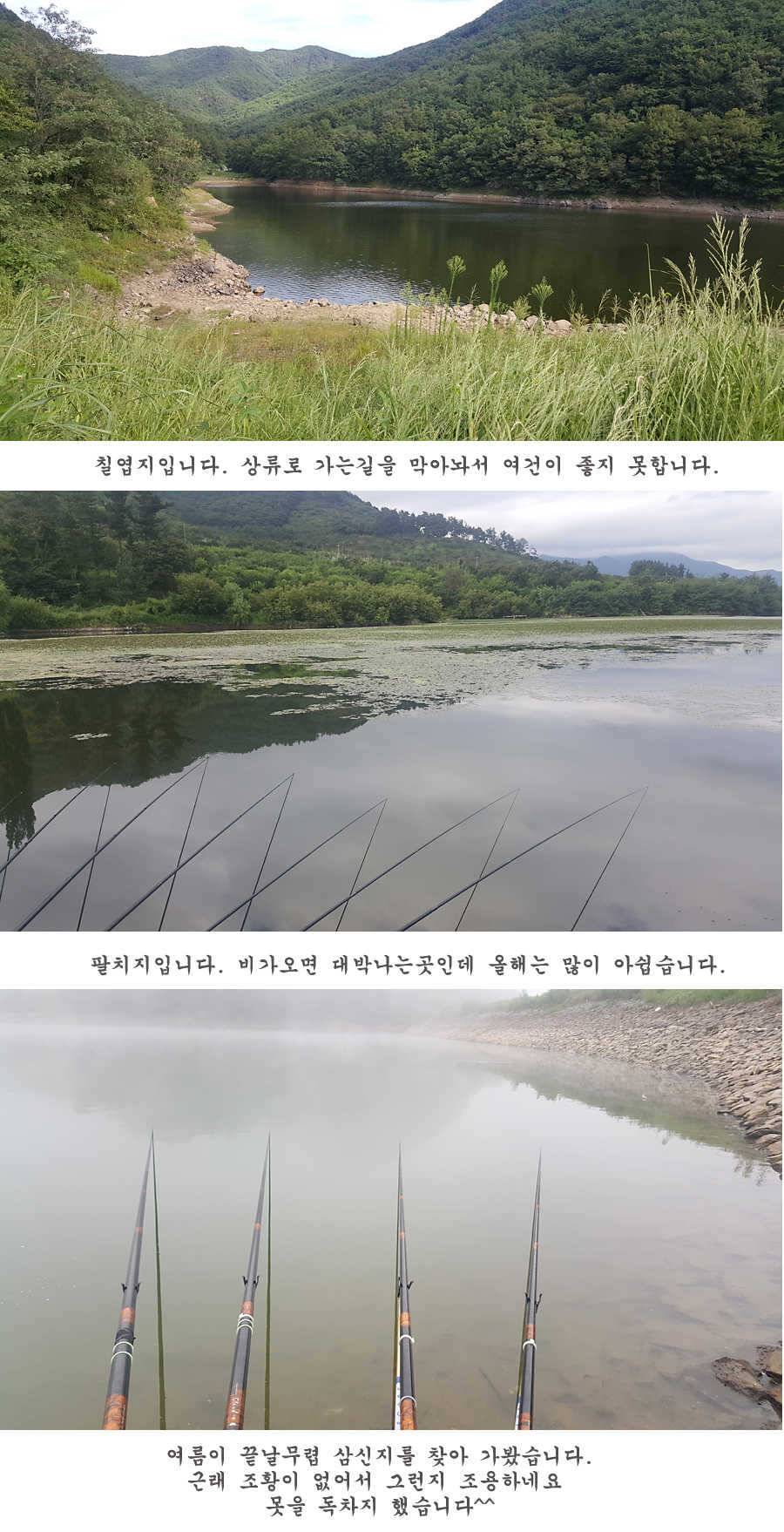 청도권 터지기 시작했습니다 (조황조행기 - 특파원조황)