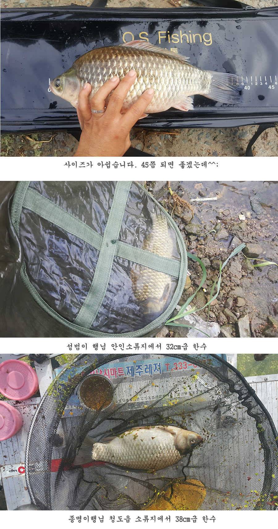 청도권 터지기 시작했습니다 (조황조행기 - 특파원조황)