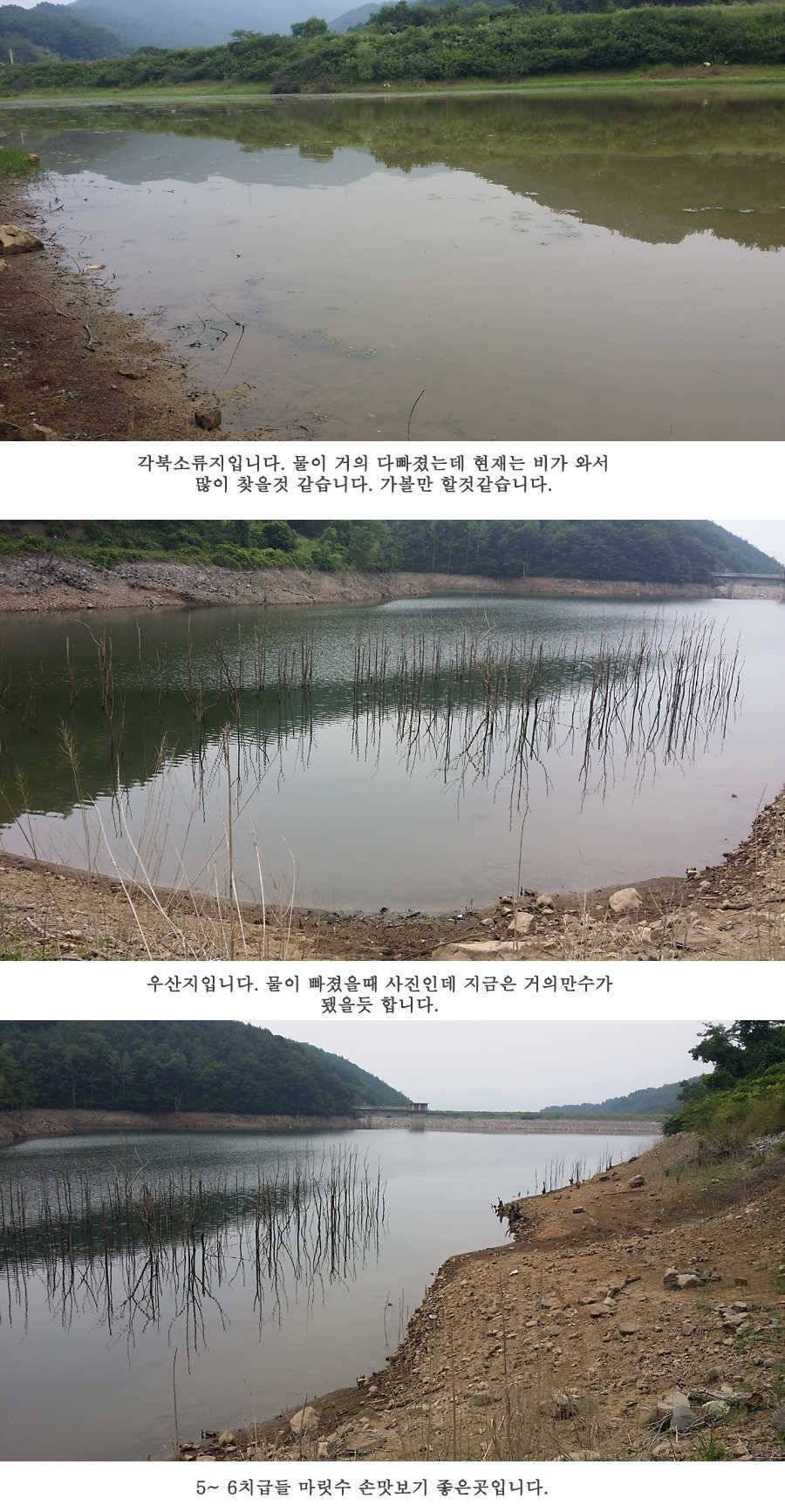 청도권 오름수위 빵빵터집니다 (조황조행기 - 특파원조황)
